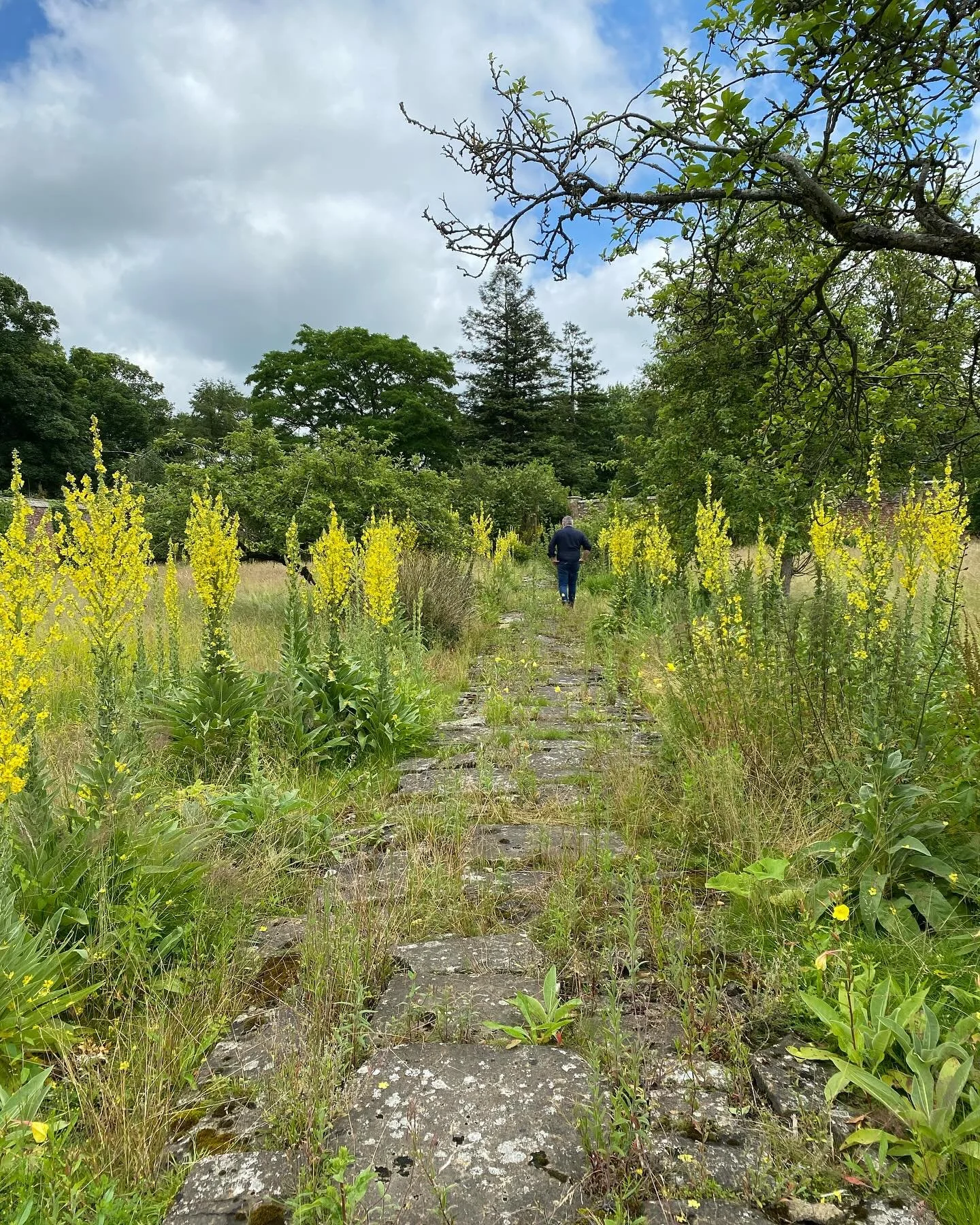 The paths were a lot of work! 
We still have one more layer of stone to add, but the making of the Bothy Gardens paths was a labour of love ❤️