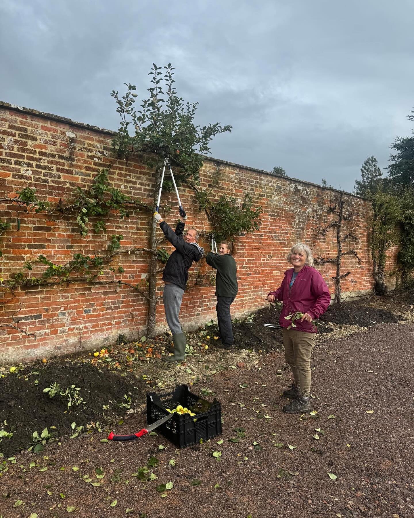 Last week we welcomed our first volunteers and had an amazing time. They planted and pruned and enjoyed a nice lunch together. The next days are coming up Oct 17-20th look in the bio for the sign up link.
