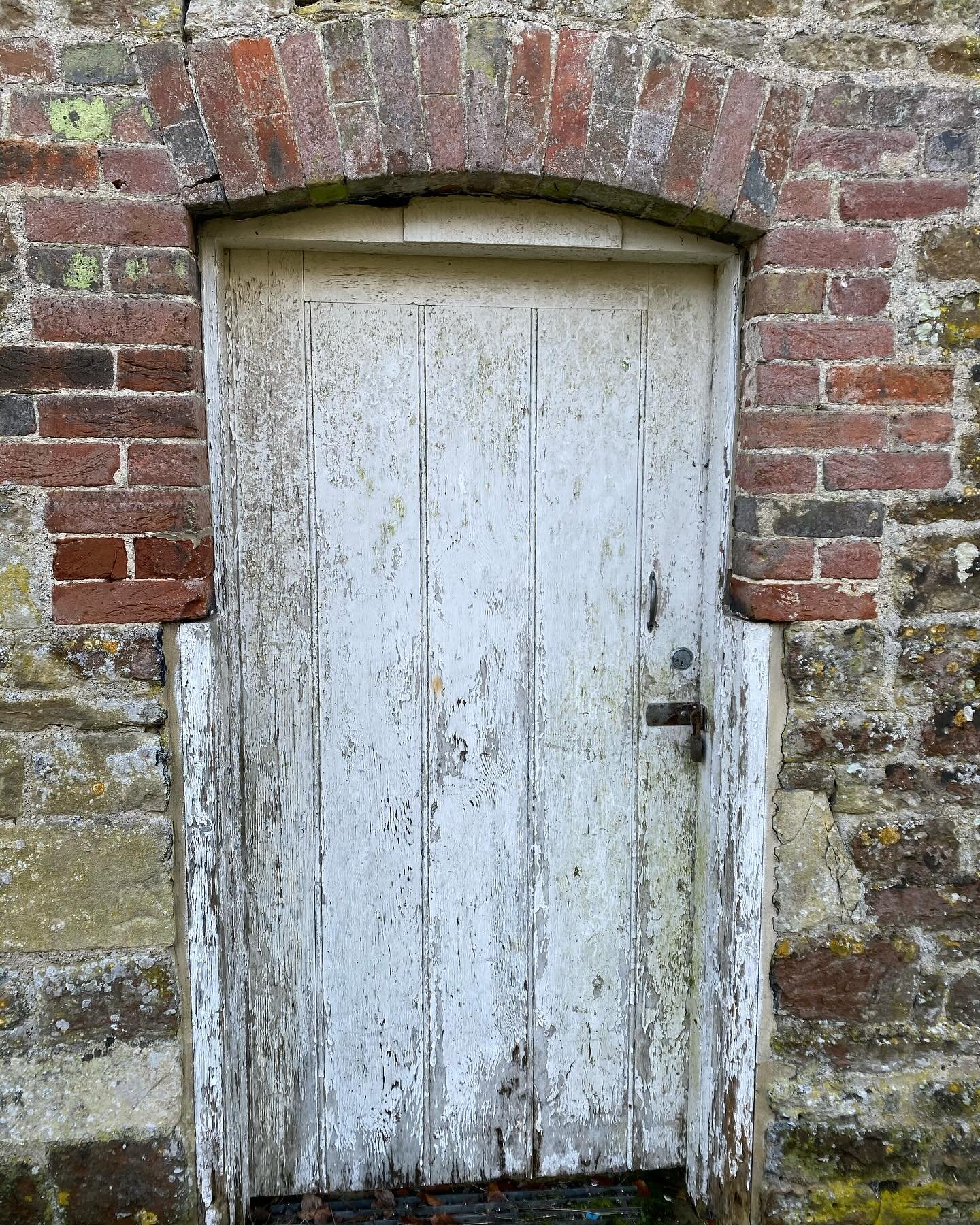 Our Mudroom door is back on! Can you believe this is the same door? 
Paul did a great job cutting it in half and added windows! 
Now we have a beautiful stable door all ready for muddy boots and Luna 🐶