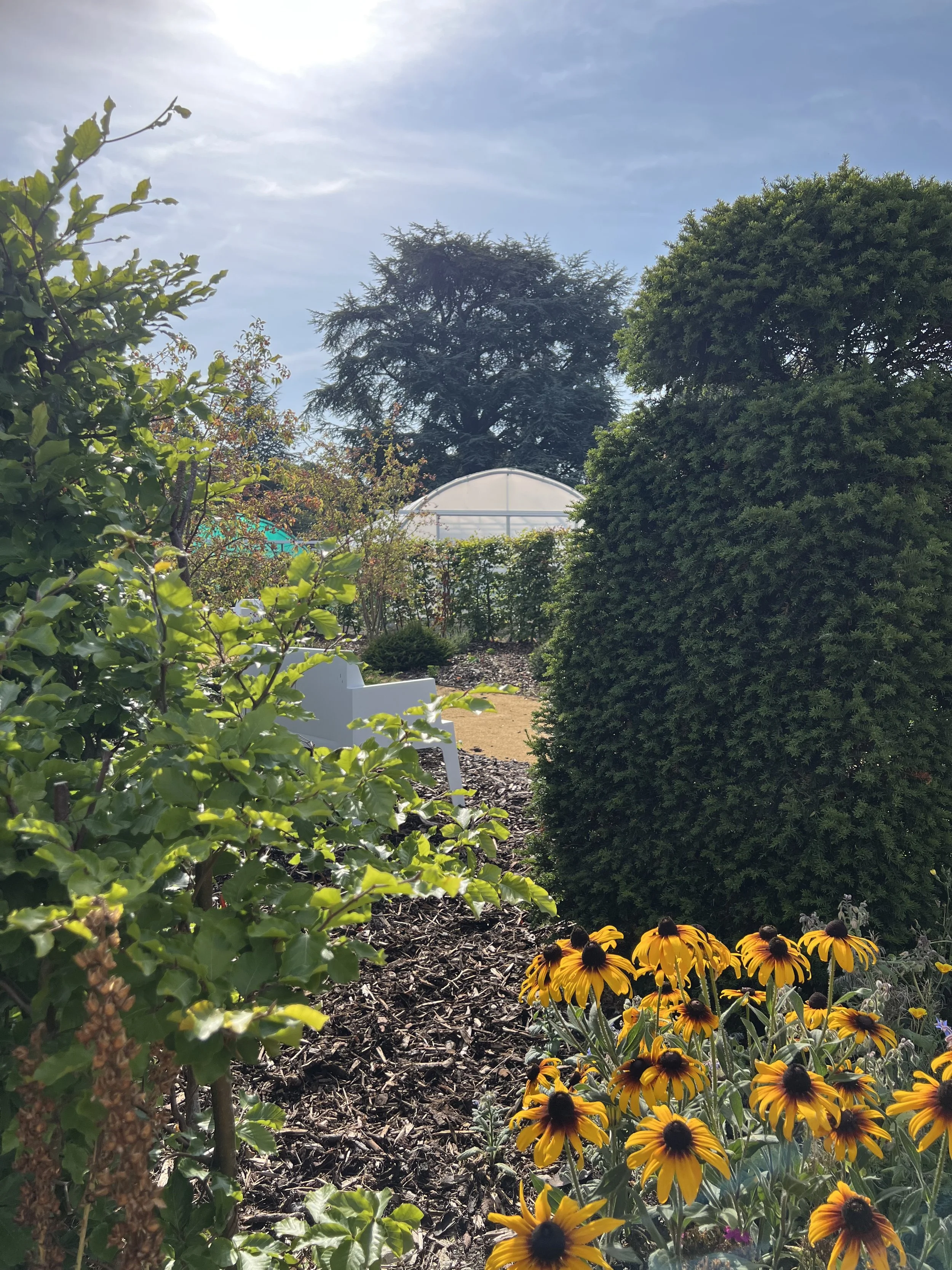 August 12 and constant sun and heat just keeps coming!