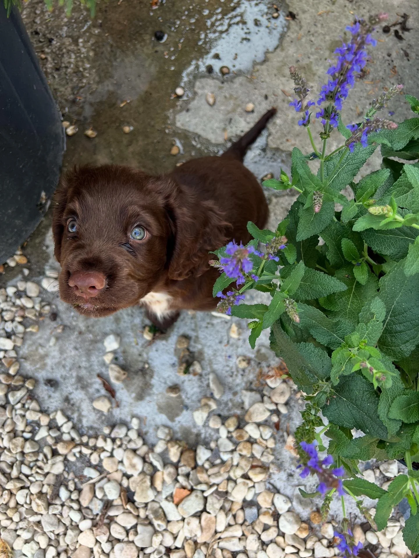 Aug 23rd-New Addition: Meet Henry!