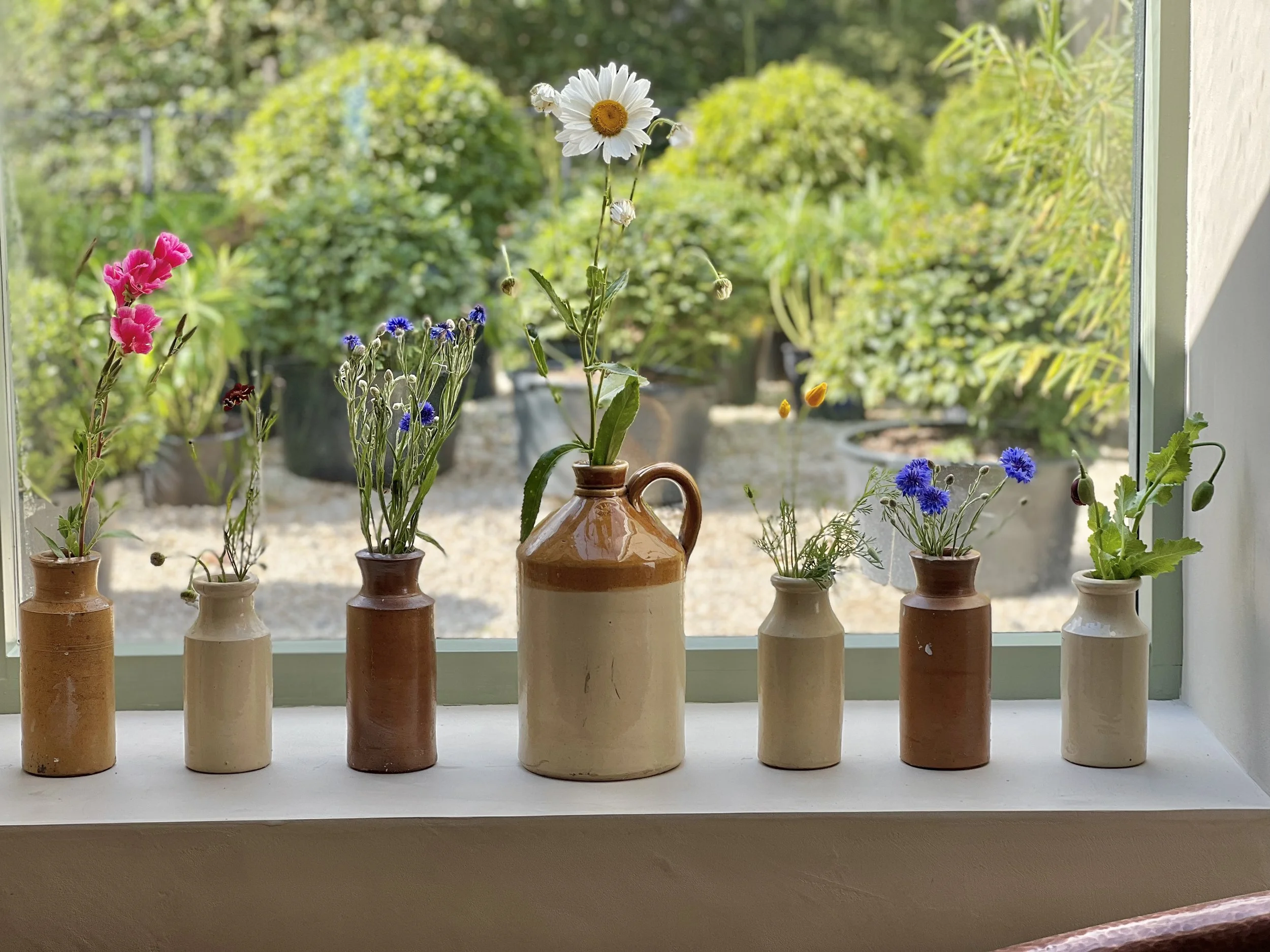 July 5th, Wildflowers in full boom