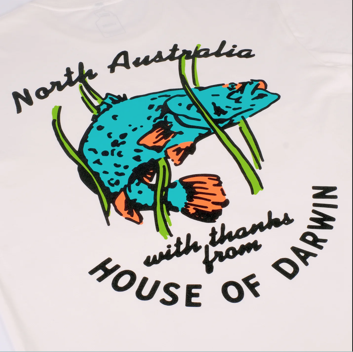 House of Darwin Merch, 2023