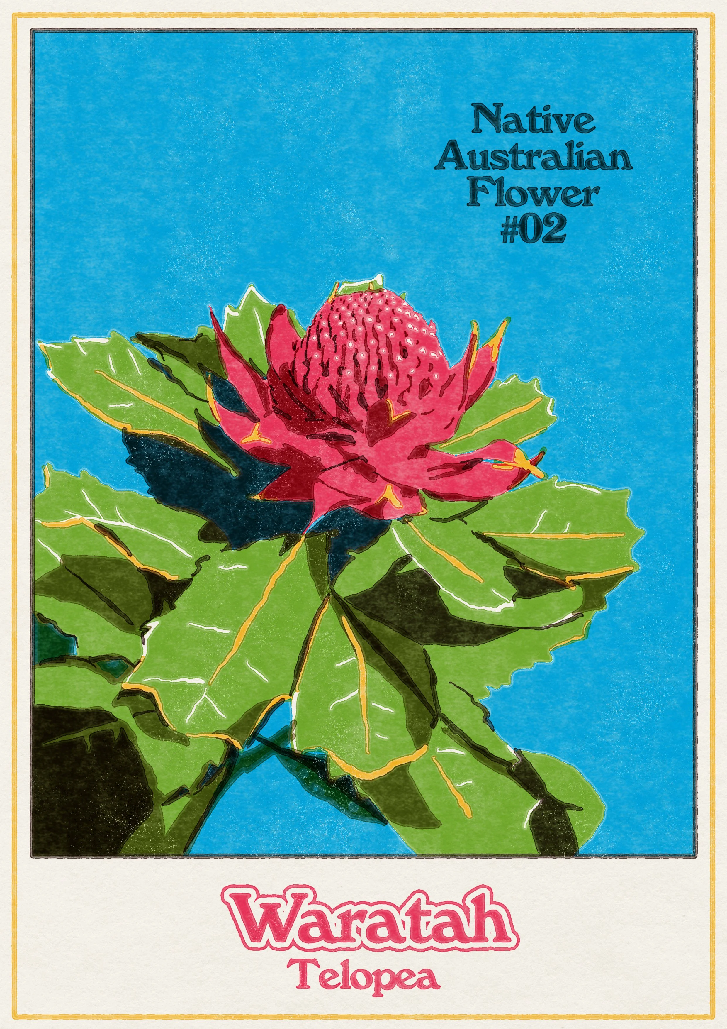 Waratah Poster, 2022