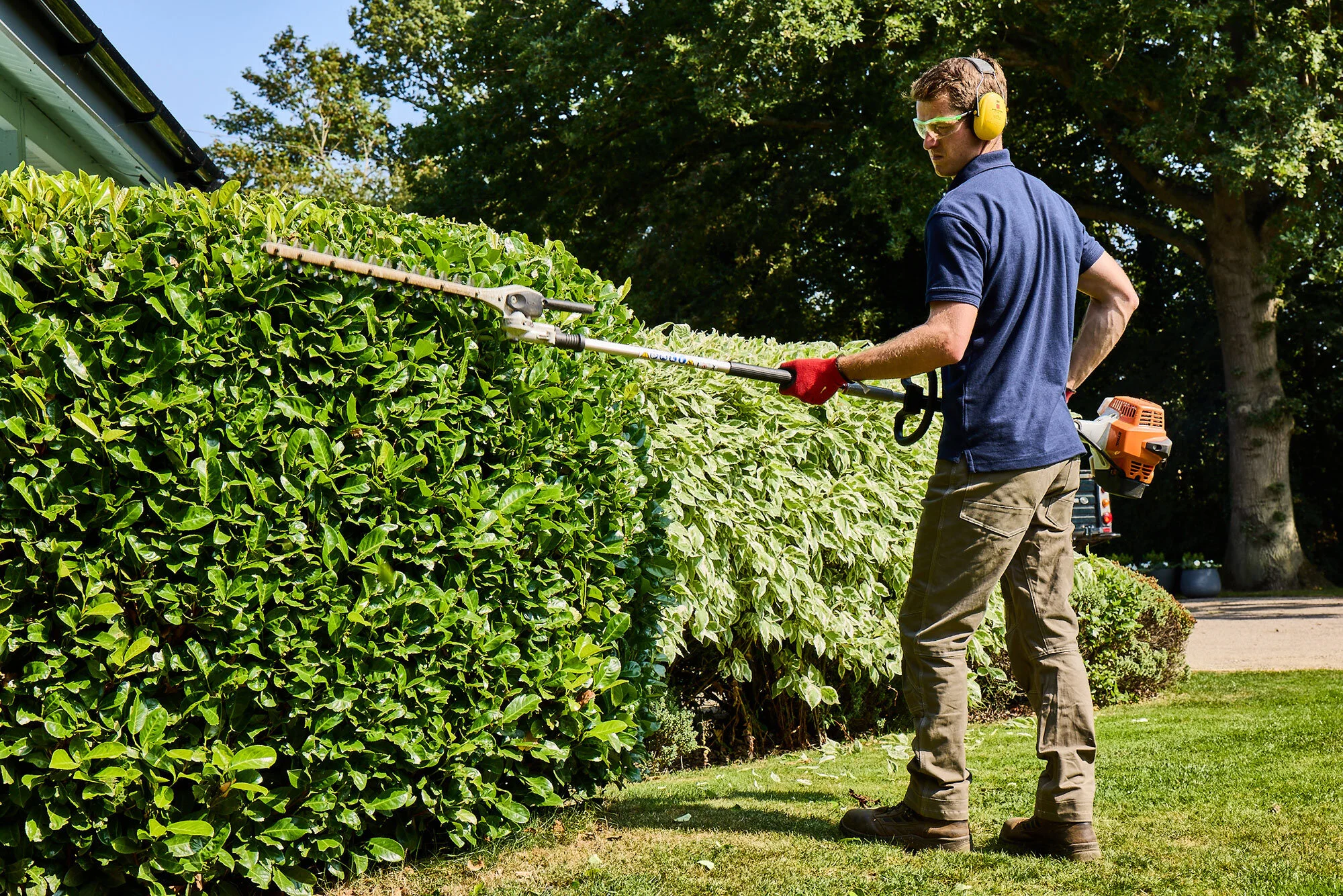 Professional hedge maintenance in Northamptonshire
