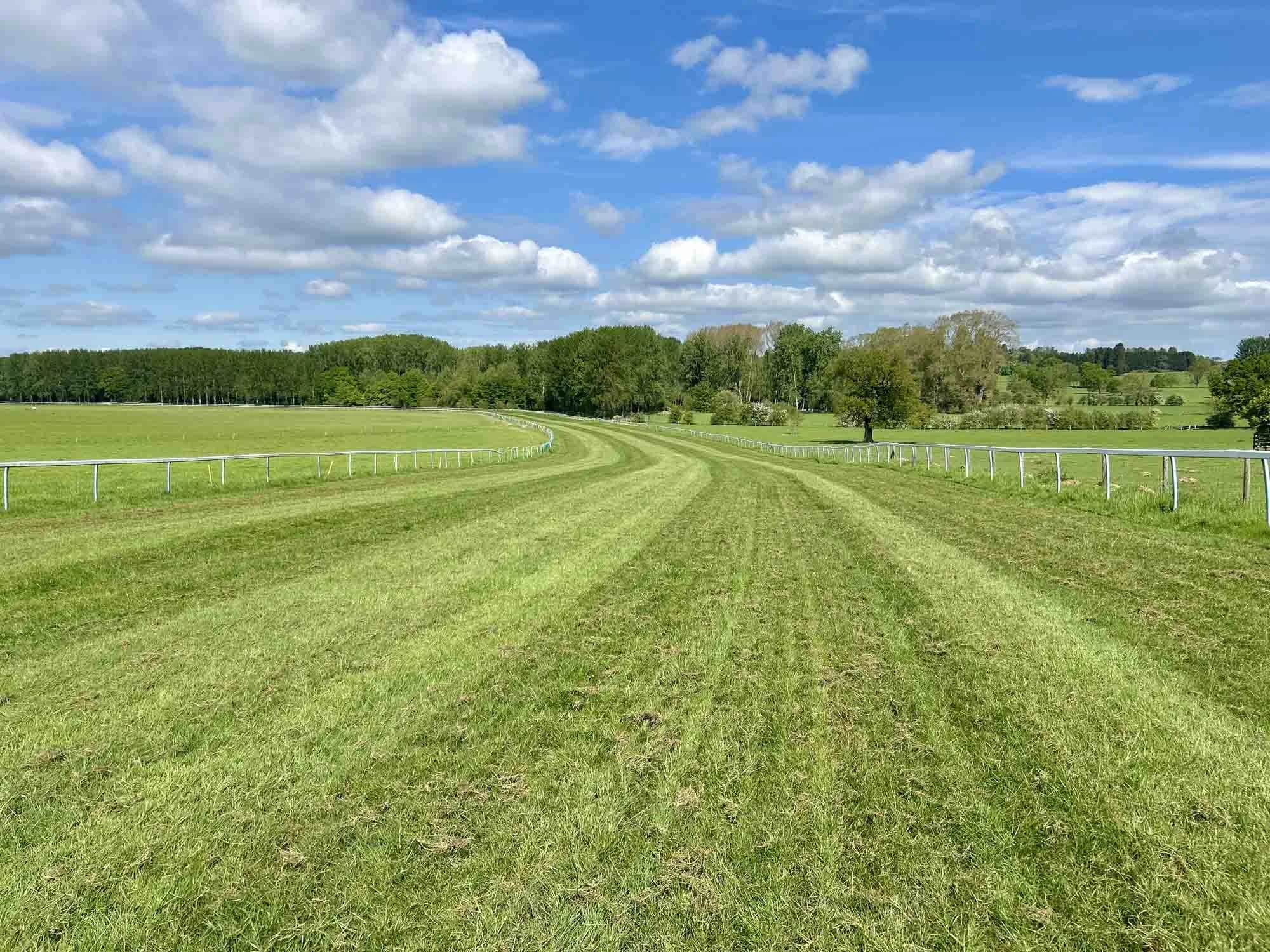 3 2.jpg