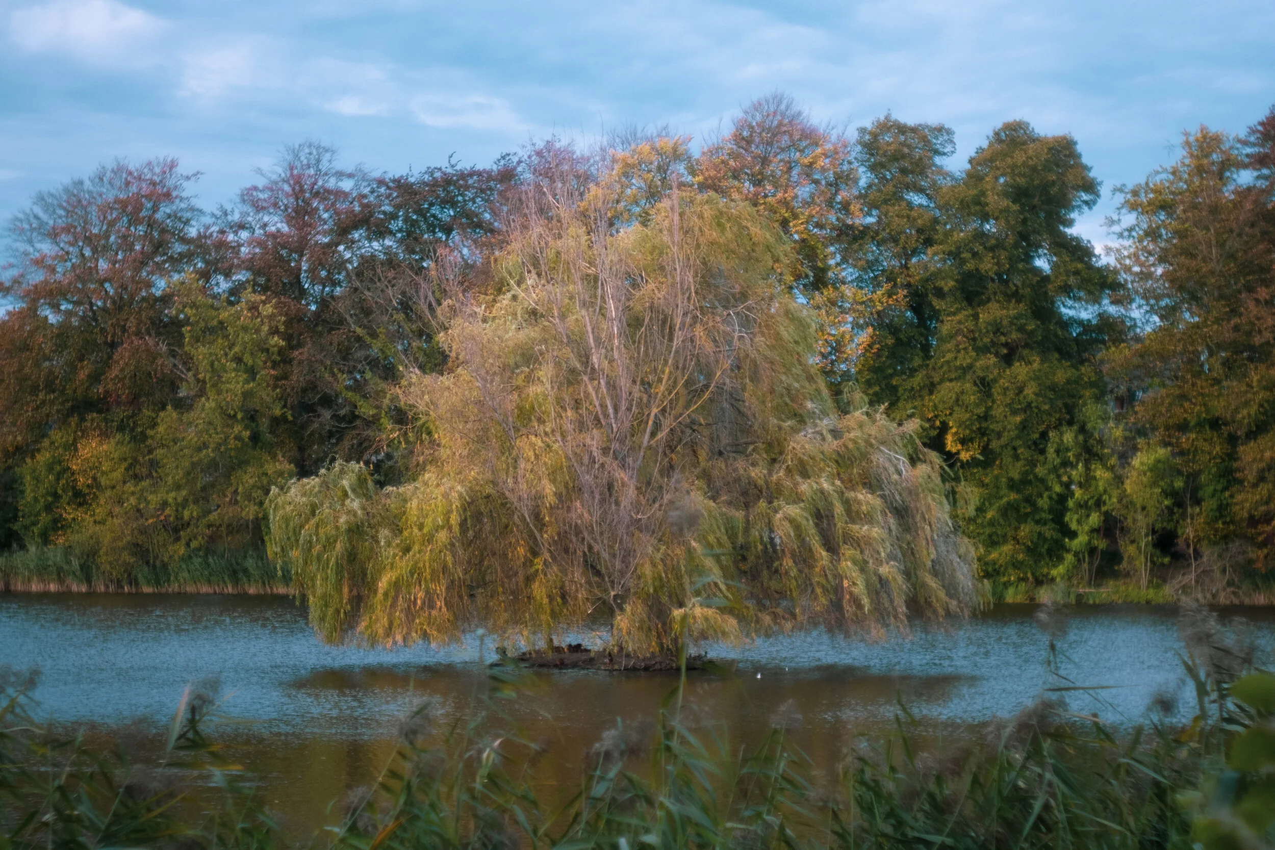 Abdij van Park, Leuven (October, 2019)