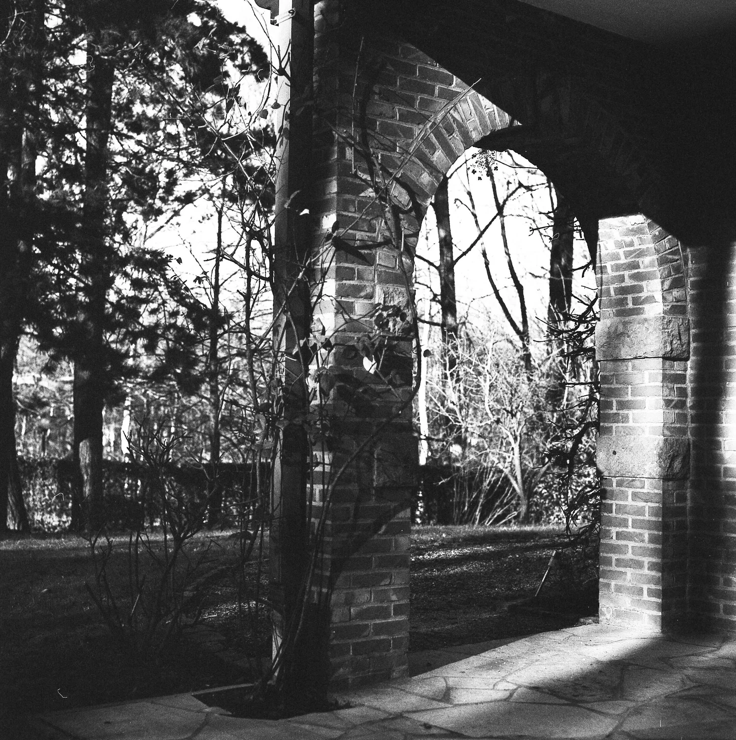 Fomapan 100 pushed to ISO 400 with a green Hoya filter