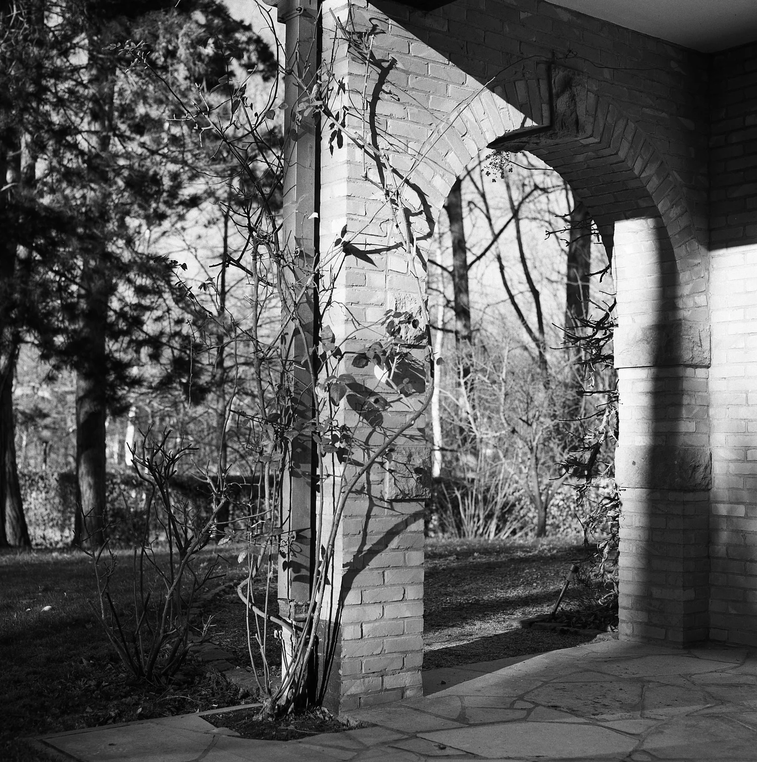 Garden scene, red filter