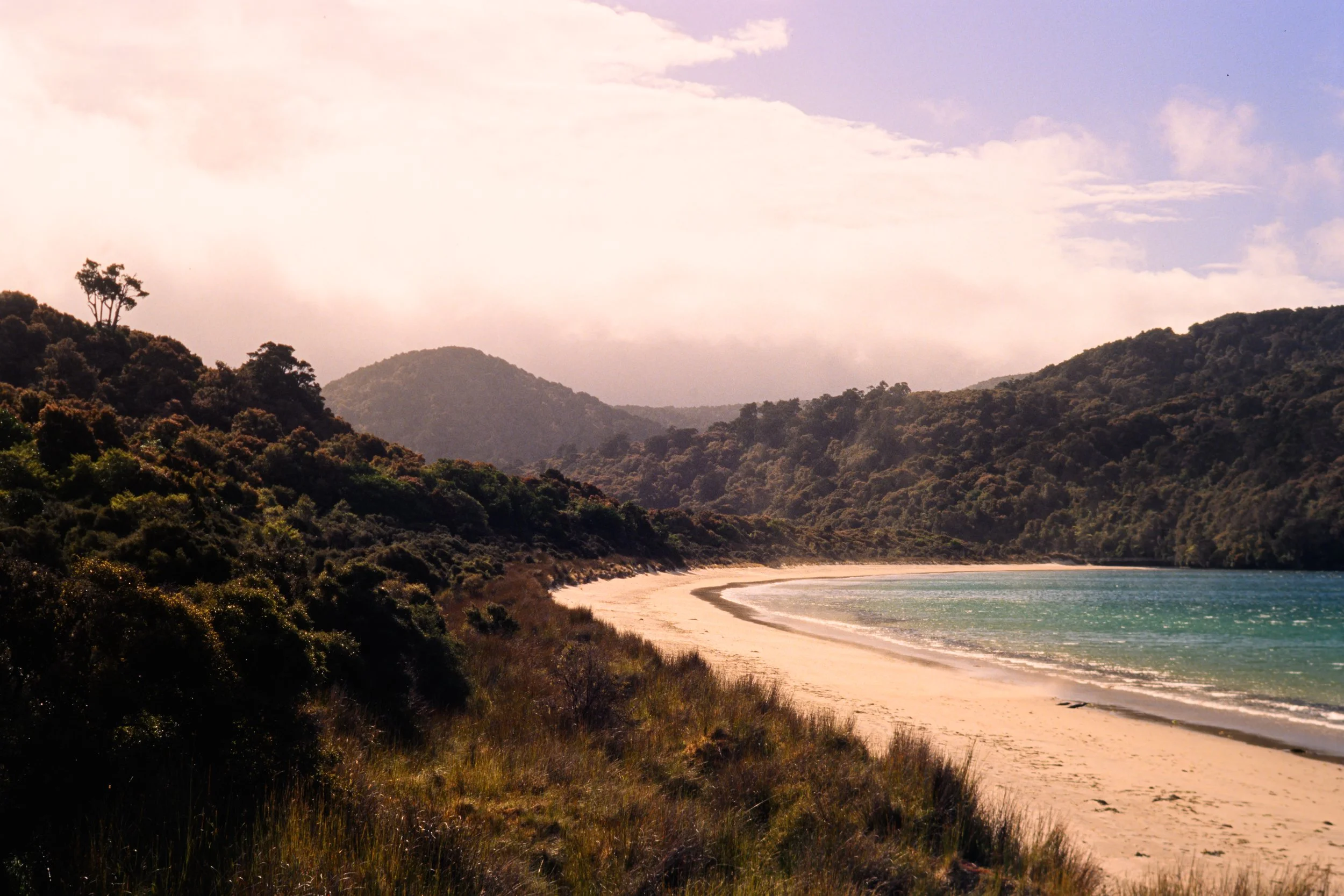 New Zealand Kodak Ektachrome 100 film analog nikon f5 Stewart Island