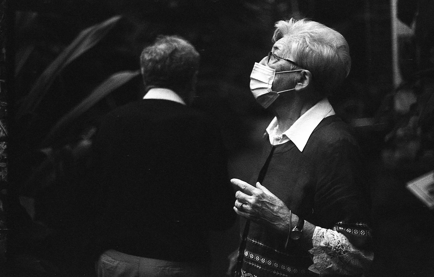 Plantentuin van Laken, Fomapan 100 pushed to 400 with Hoya green filter