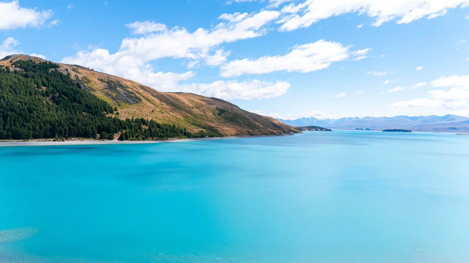 20240919 NZ Web Light Clean  (29 of 35).JPG
