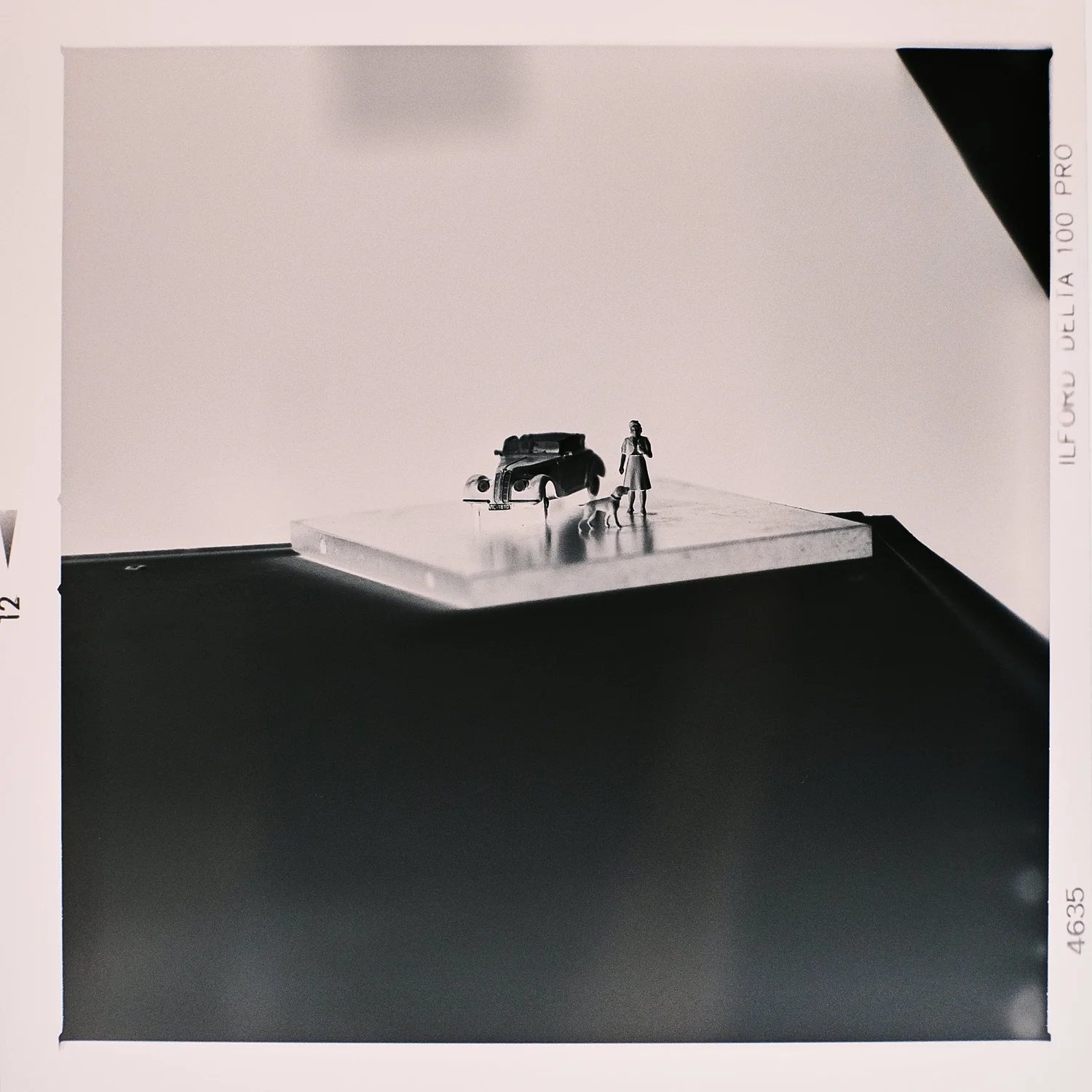 Ilford Delta 100 Pro negative