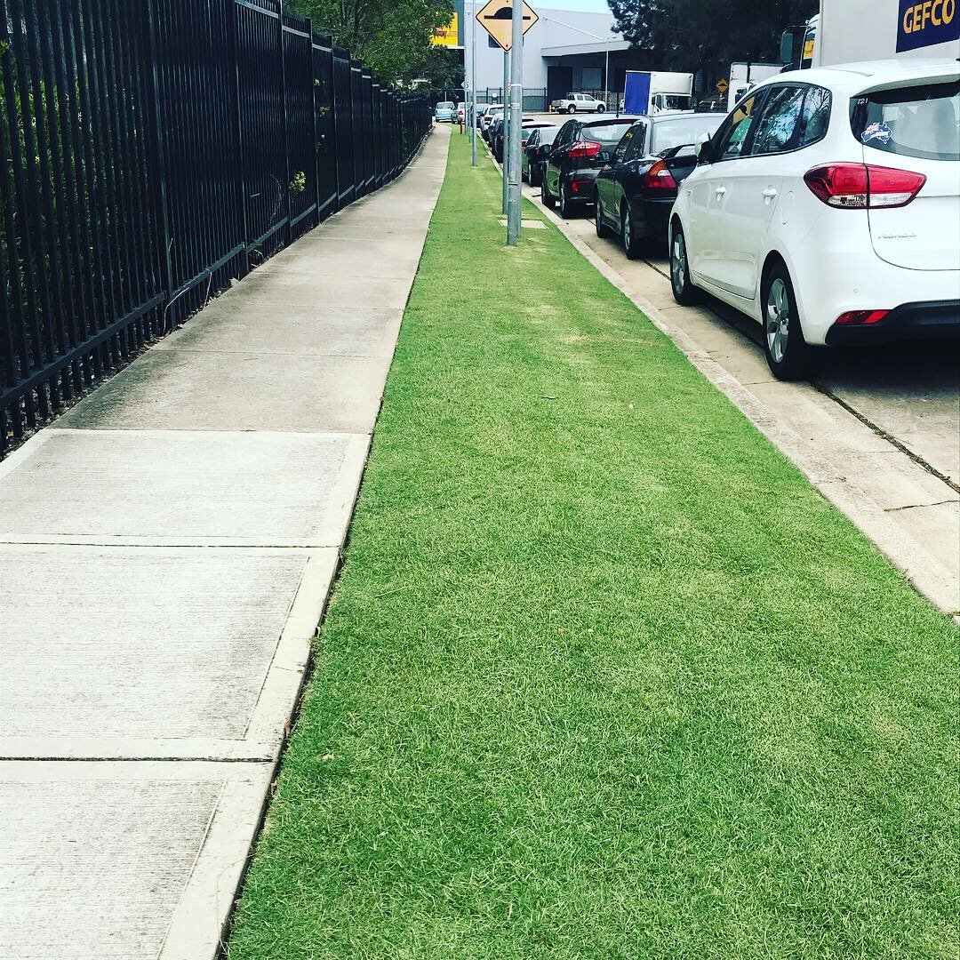 Commercial maintenance day, contact us today to have your lawn looking like this for summer #lawnporn #sydneygardens #sydneygardening #gardensofsydney #couchlawn #summerlawn #gardenmaintenance #goodmans #commerciallawns