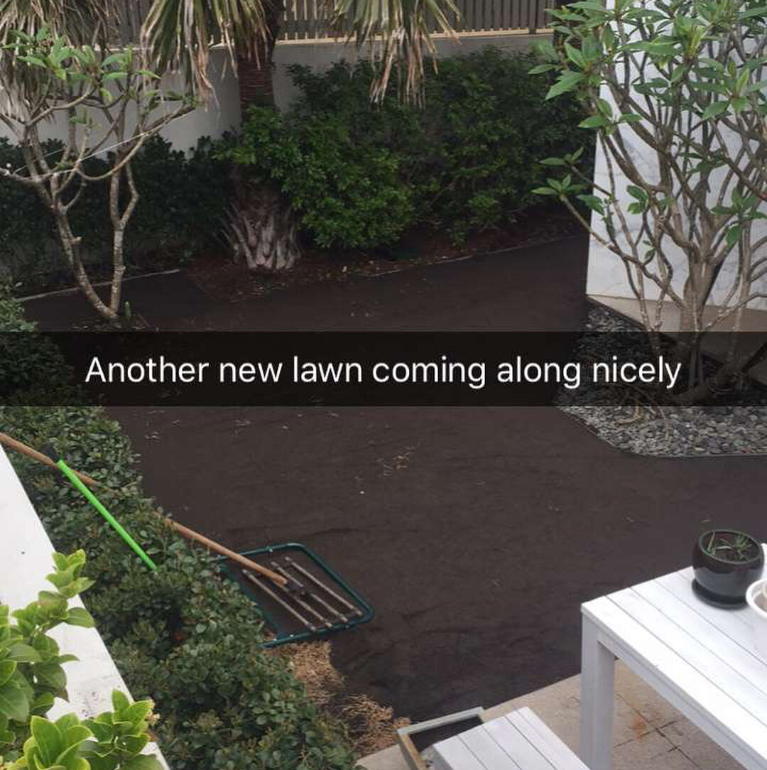 New lawn going down in north bondi #landscaping #sydneylandscaping #sydneygardens #gardensofsydney #newlawn #sirwalterbuffalo #greengrass #northbondi