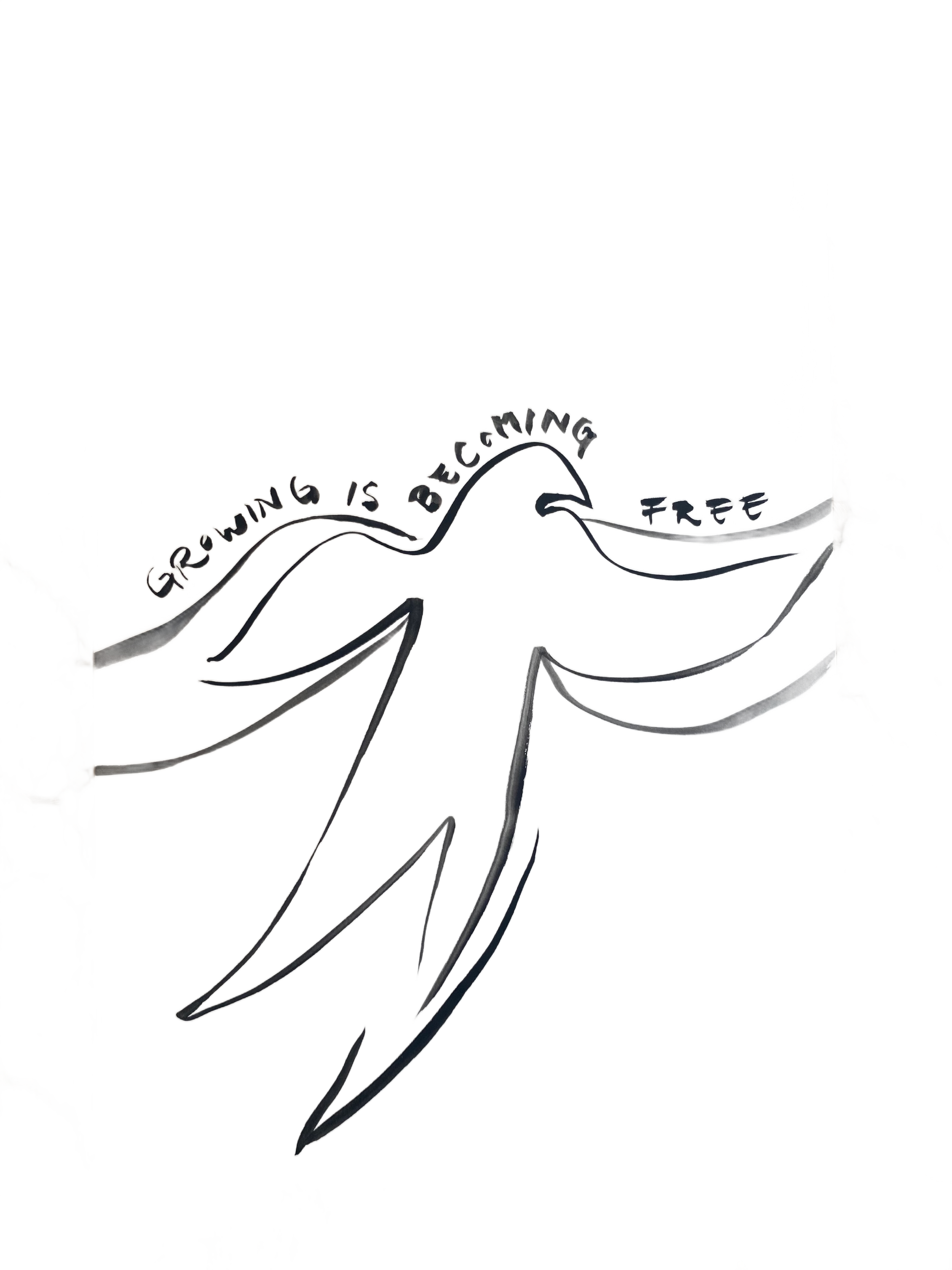 IMG_6983-remove-background.com (1).png