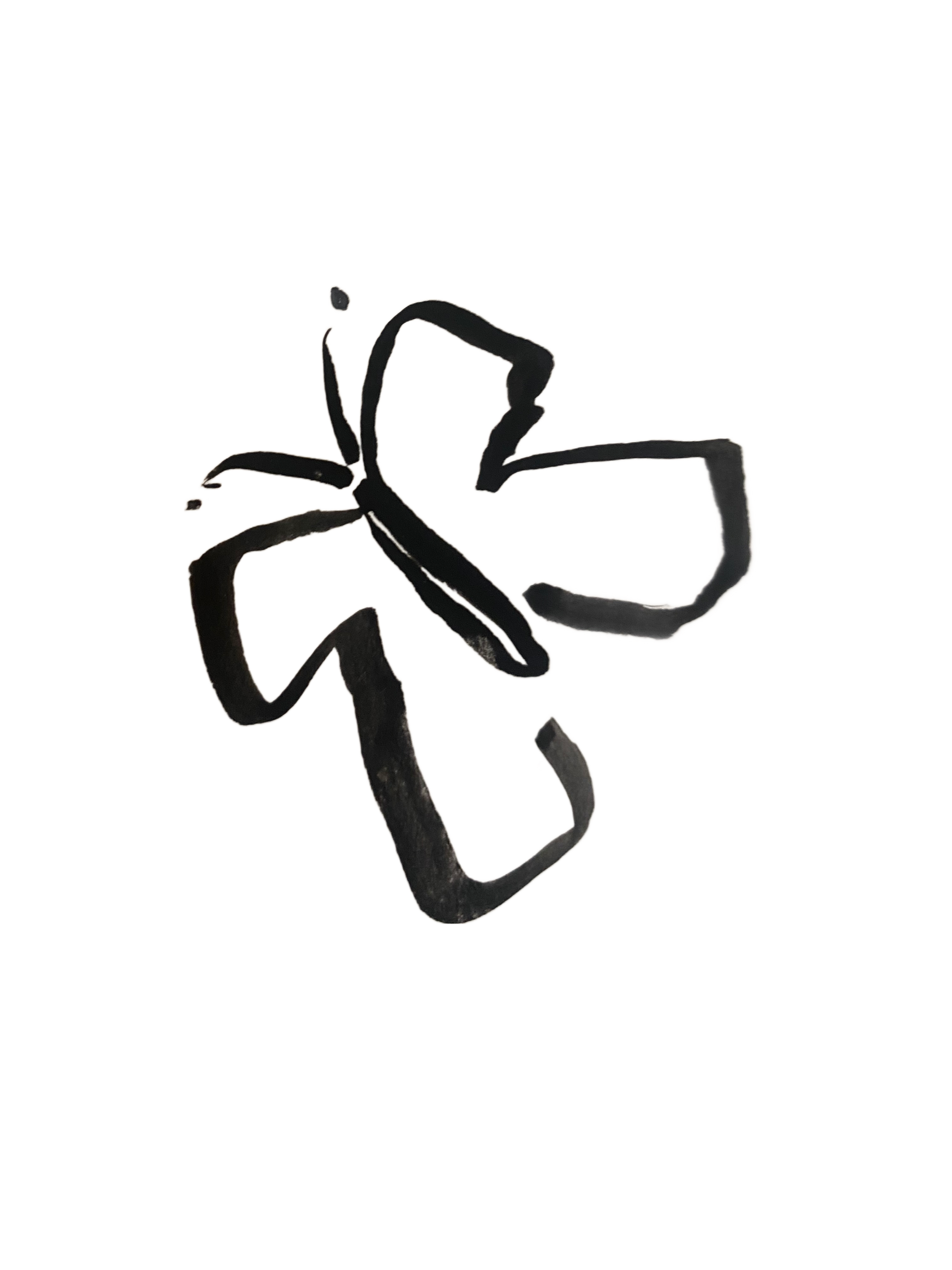 IMG_6984-remove-background.com (1).png