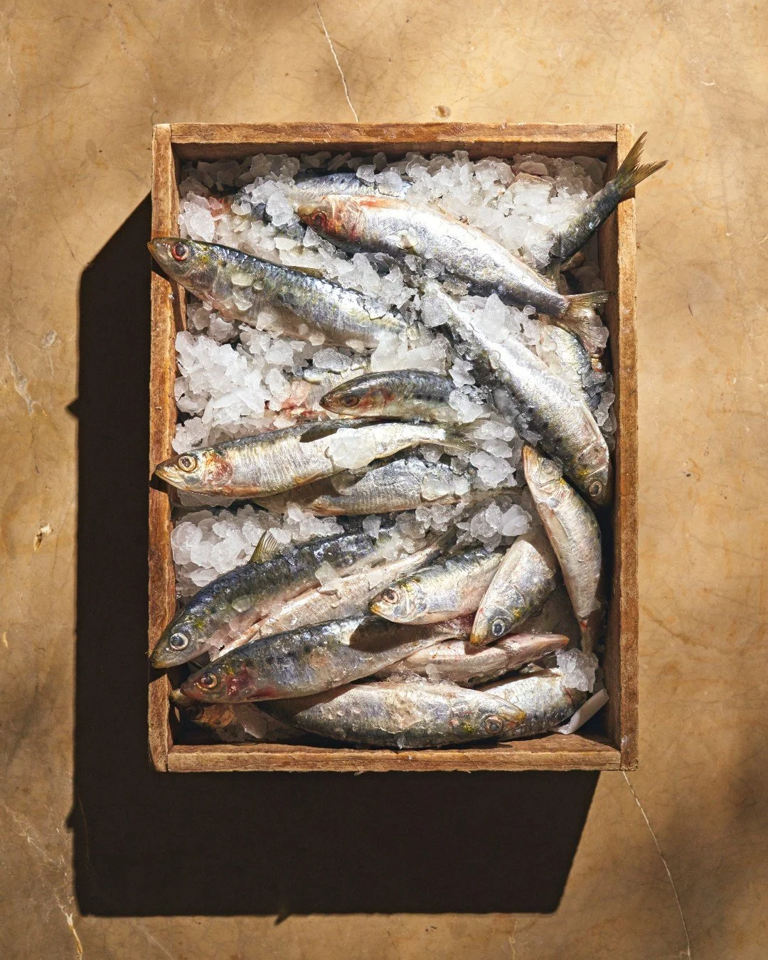 Where the sea sets the standard. Our raw offerings begin with exceptional Mediterranean seafood, selected for freshness and quality, then finished with subtle, vibrant accents. An ever-changing expression of the sea, curated daily. #AVAMediterrAegean