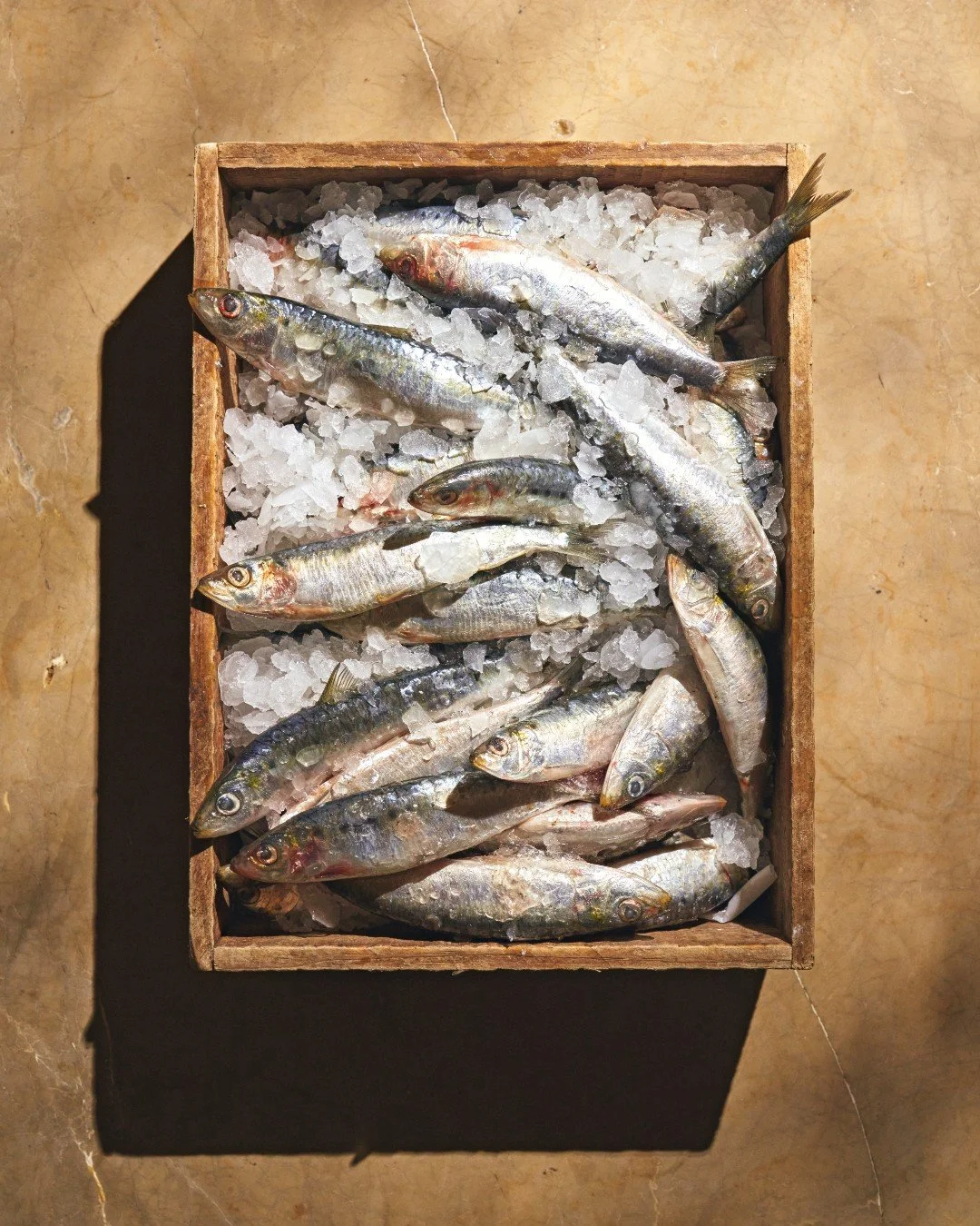 Freshness is at the heart of every dish at AVA Winter Park. From ocean to table, our seafood is thoughtfully sourced and prepared with a Mediterranean touch that lets every ingredient shine. Join us and experience it for yourself. 🧿 #AVAMediterrAege