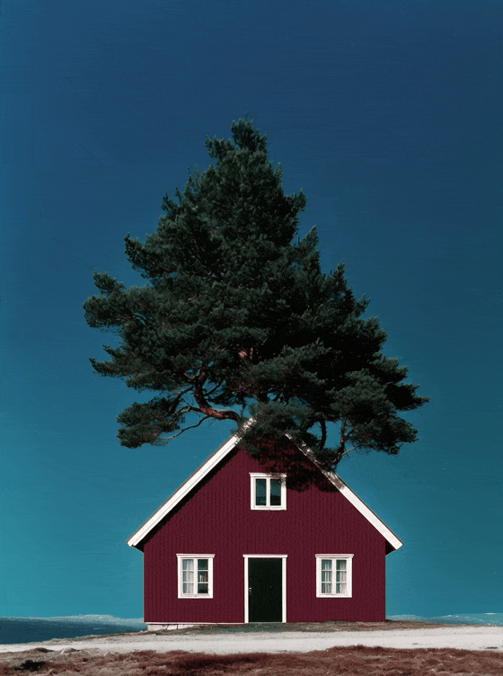 imeto_cabin.gif
