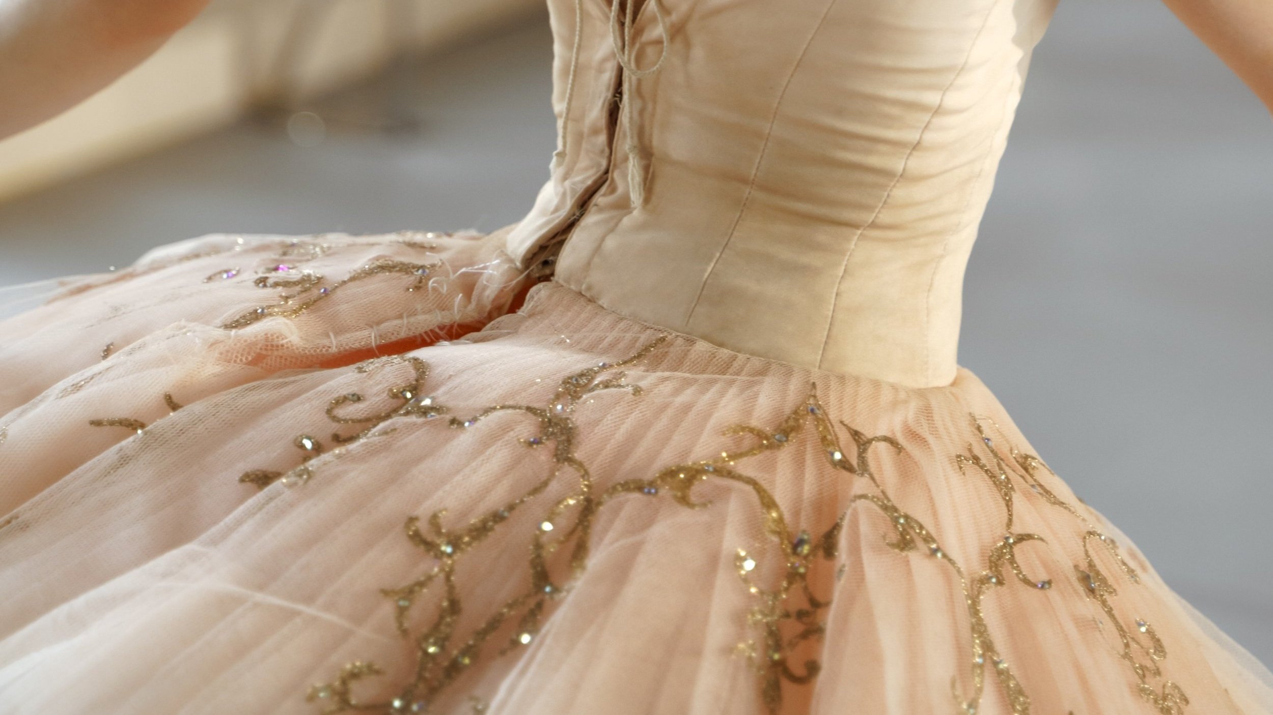 Meet the Sugar Plum Fairy from the Nutcracker