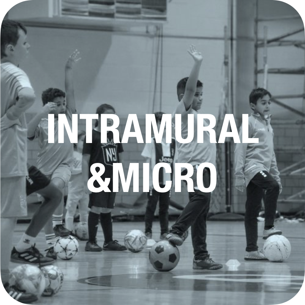 Intramural &amp; Micro