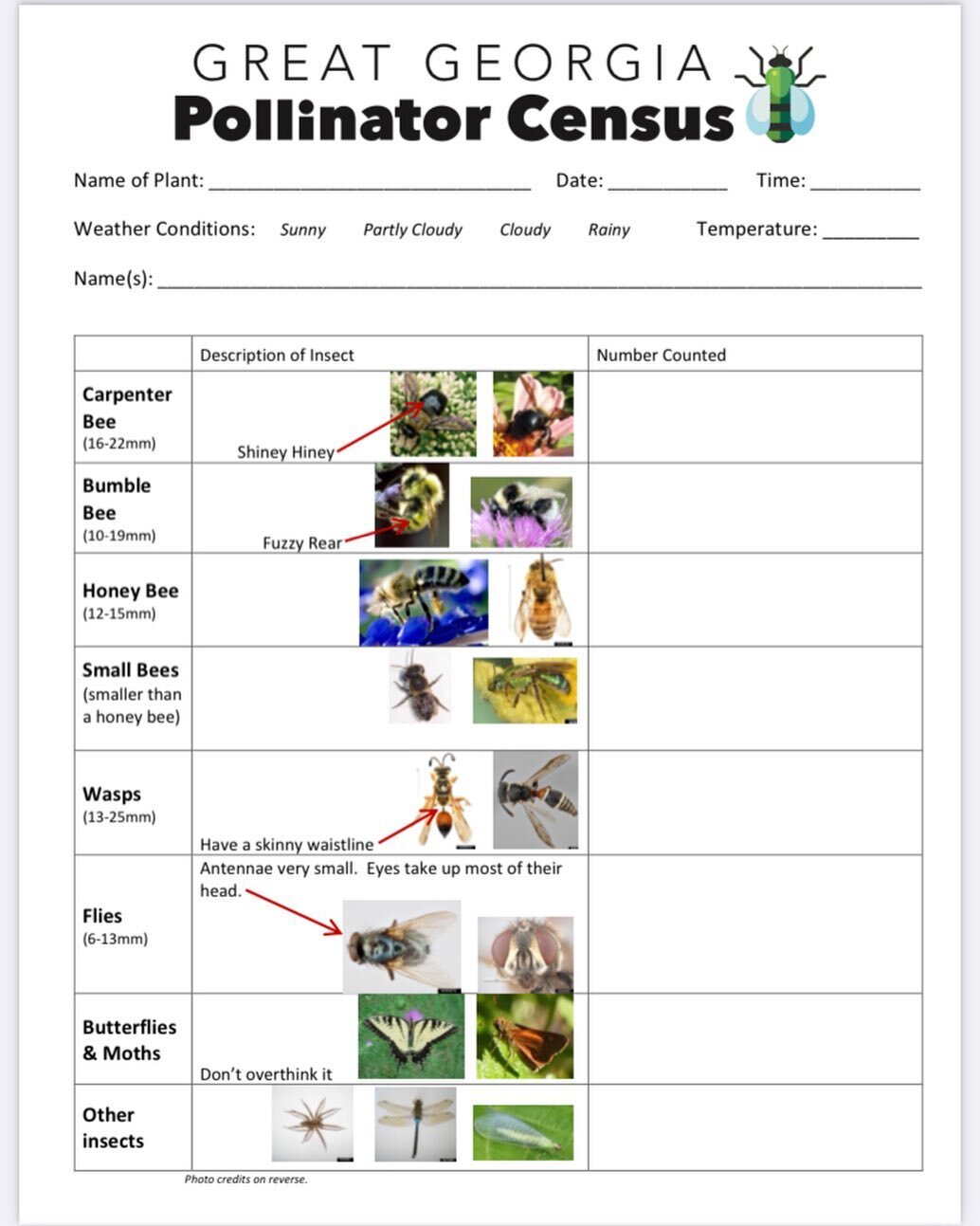 We will be counting at the farm and the store TOMORROW! Get ready to count your #pollinators Friday and Saturday- download this PDF @ link in bio // POLLINATOR CENSUS COUNTING SHEET 

PS: If it&rsquo;s too rainy to count, the alternate dates for the 