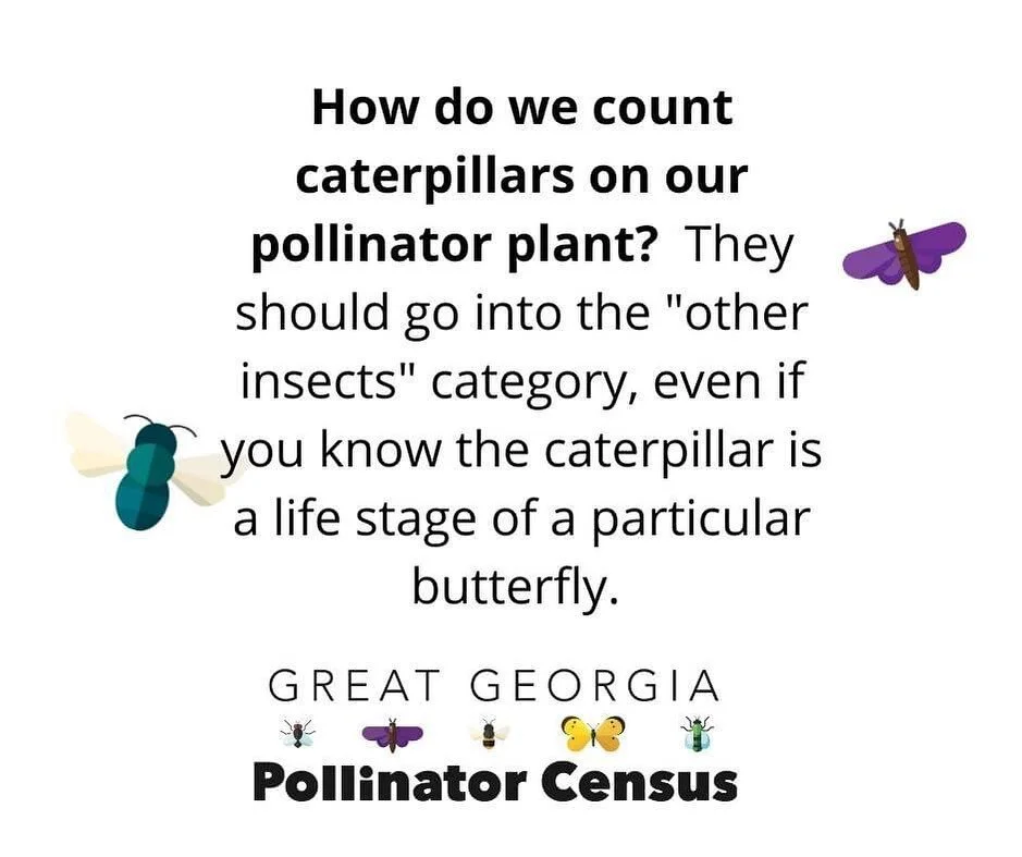 Hot tips from @agl_uga! Are you counting today or tomorrow? 🤔