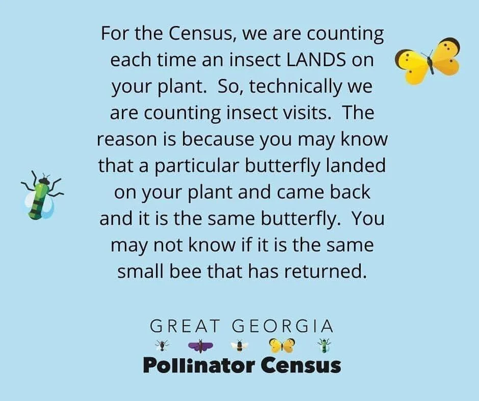 Today is the day! Post your results and tag us if you participate today or tomorrow! #everydayfarmandgarden #greatgapollinatorcensus
