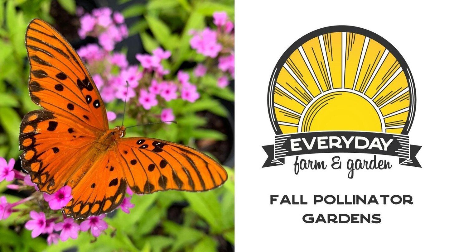 We have a jam-up lineup of fall events for you this season, starting with our Fall Pollinator Garden Workshop! Join us as we learn all about pollinators, nectar producing plants, and how to curate the perfect pollinator garden. See link in bio // EVE