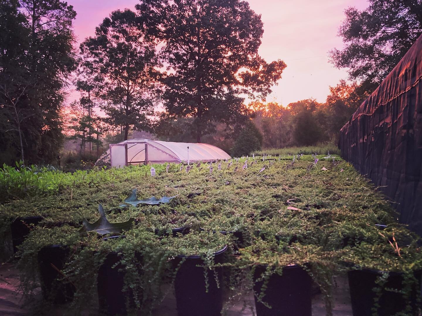 Is it because of the flexible hours, the big salary, and the nice office? Nope, it&rsquo;s because I get to see God poke His head over the tree line to tell me I&rsquo;m in the right spot. Everyday.
