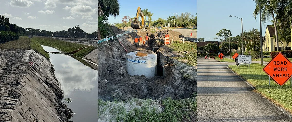 August 2024 Forest update