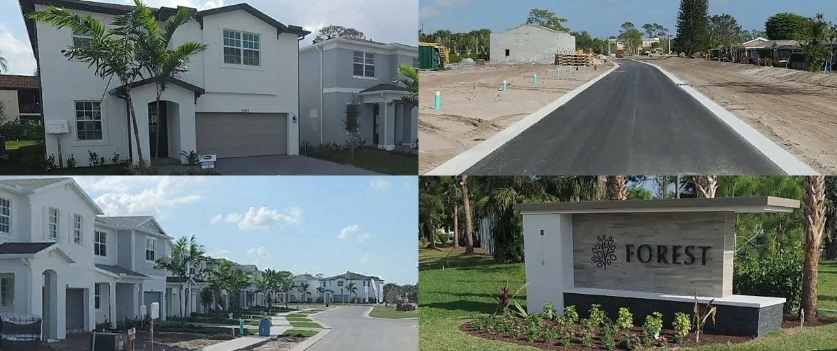 Forest March 2025 Update