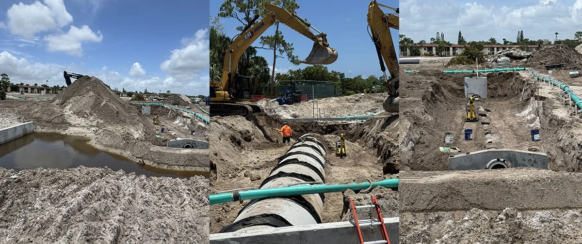 June Forest Oaks Update