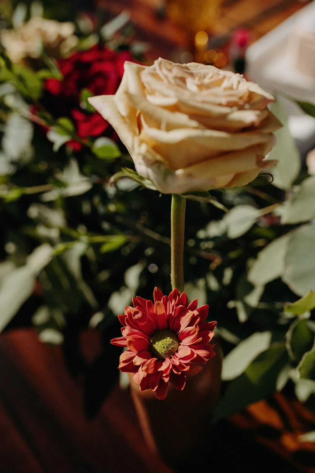 420 - KALLEN AND DEVON WEDDING IN CABO - ANNA SAUZA PHOTOGRAPHY-N.jpg