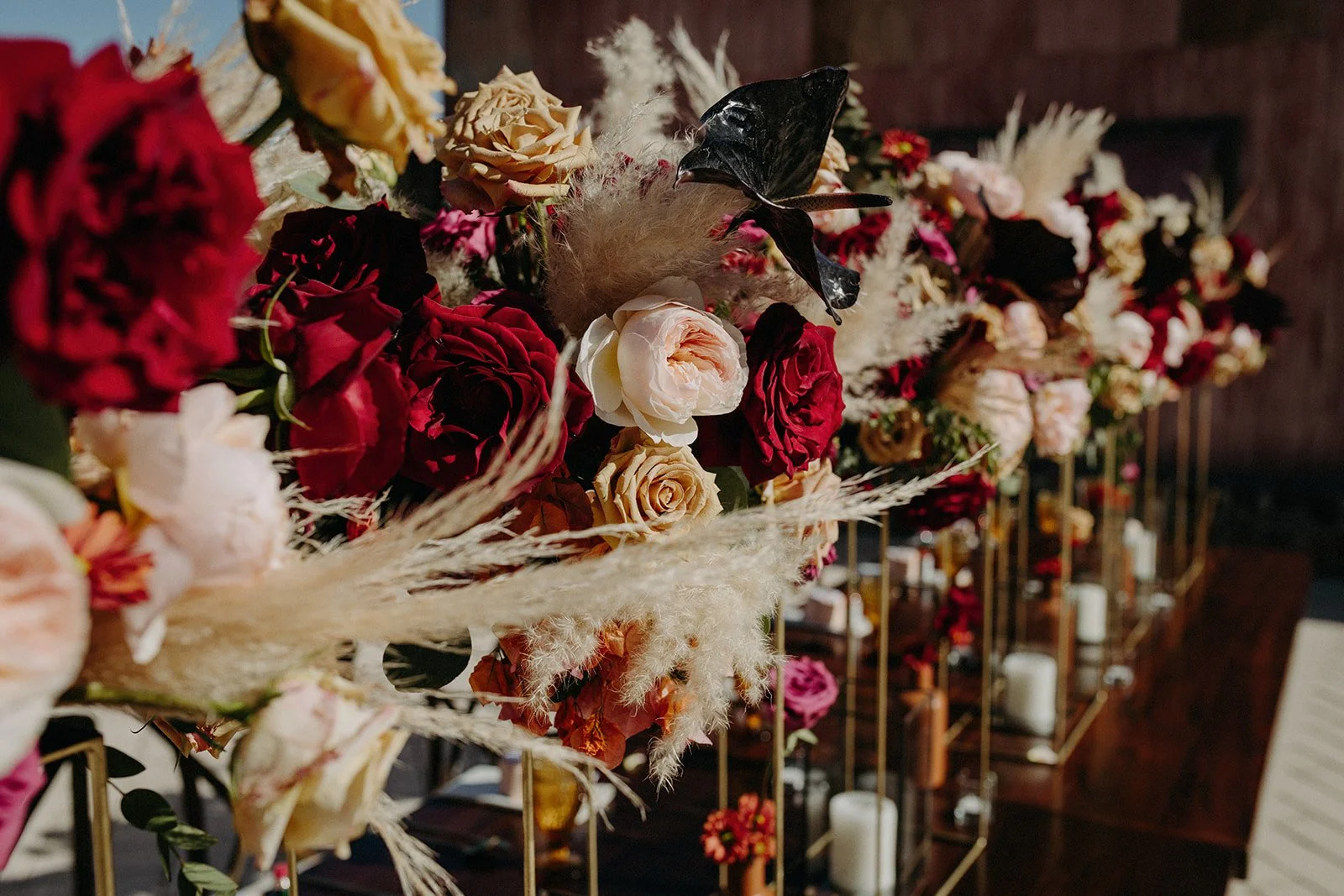 422 - KALLEN AND DEVON WEDDING IN CABO - ANNA SAUZA PHOTOGRAPHY-N.jpg