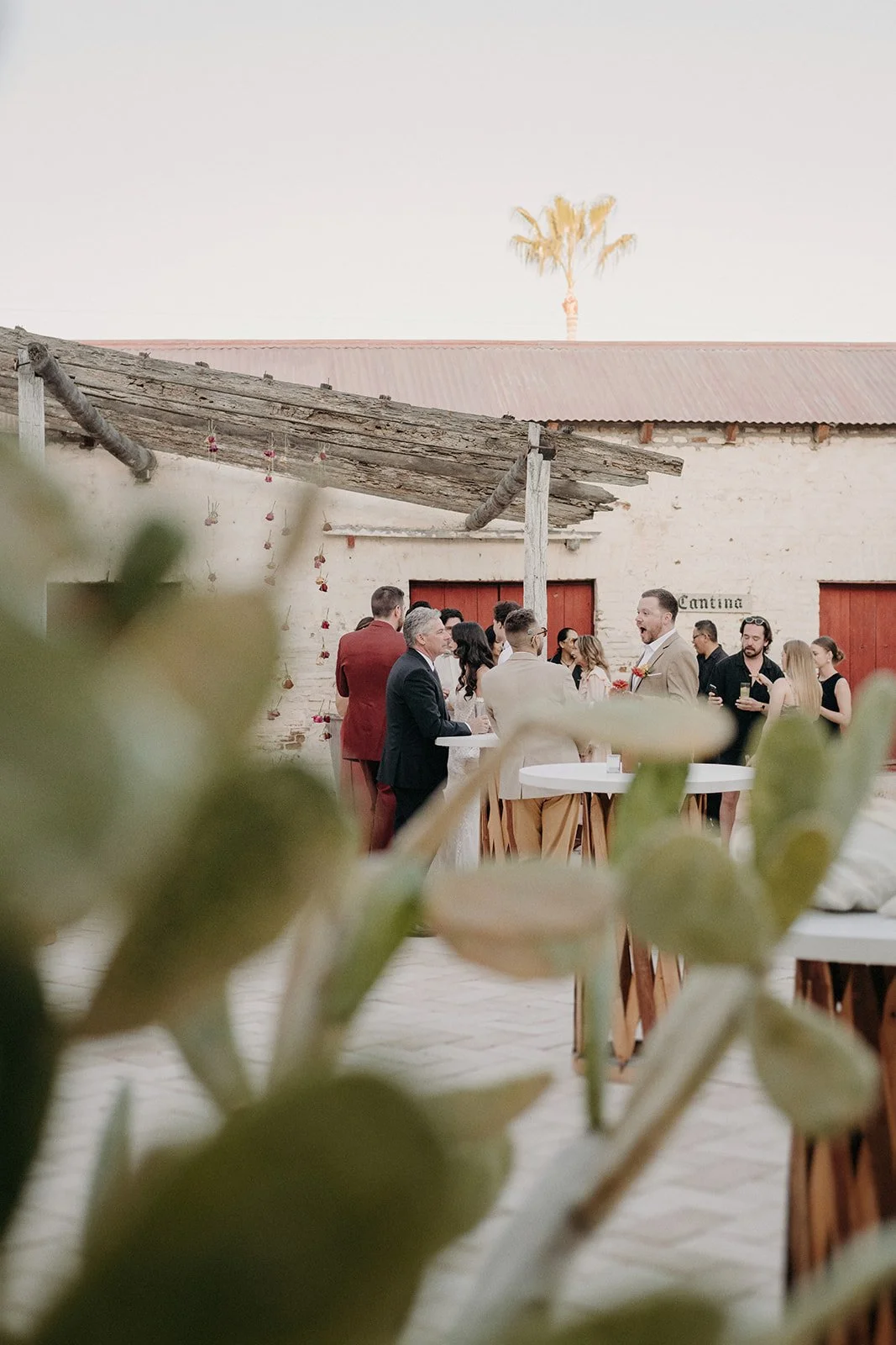 378 - KALLEN AND DEVON WEDDING IN CABO - ANNA SAUZA PHOTOGRAPHY.jpg