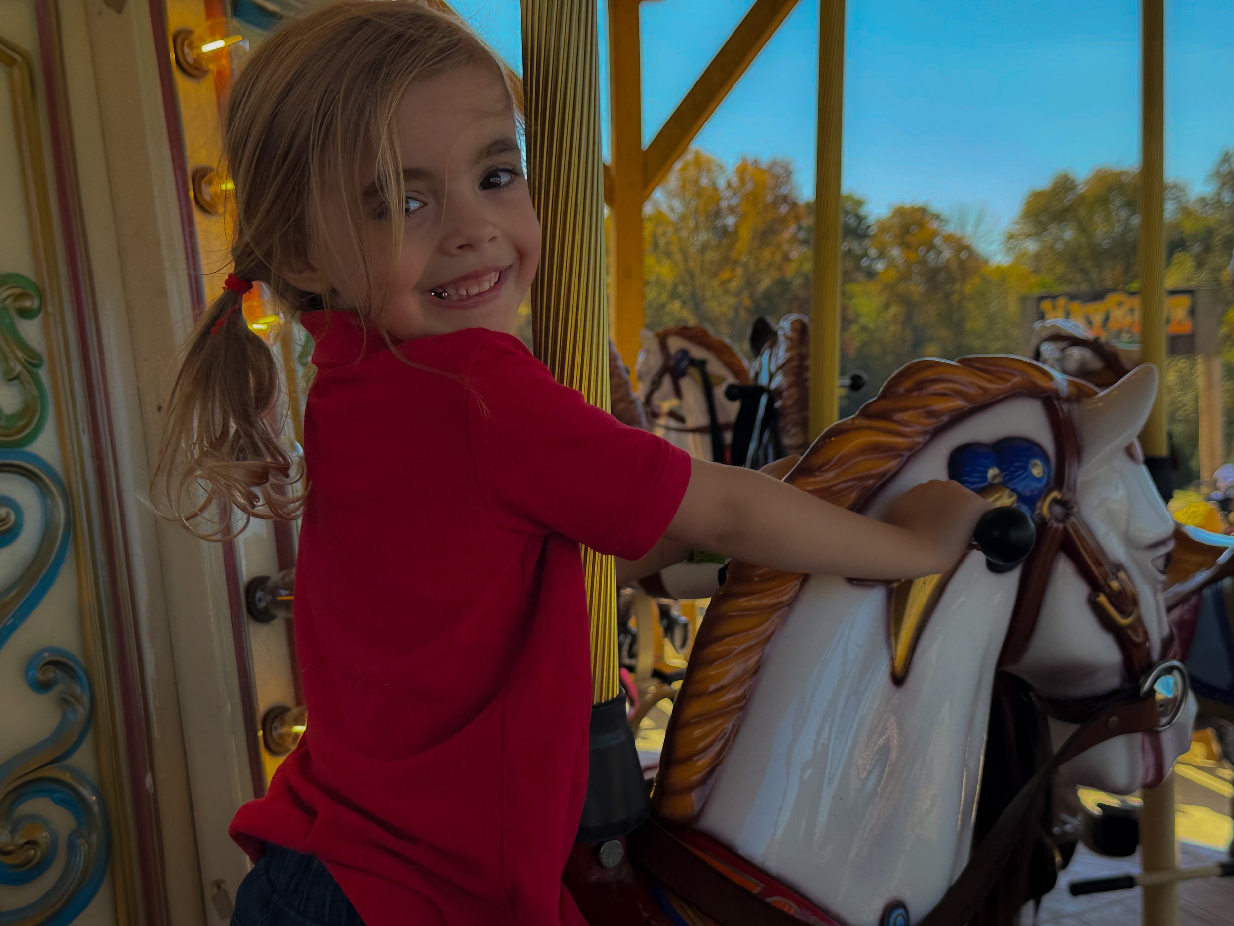 IMG_4097DEstiny horse.jpg