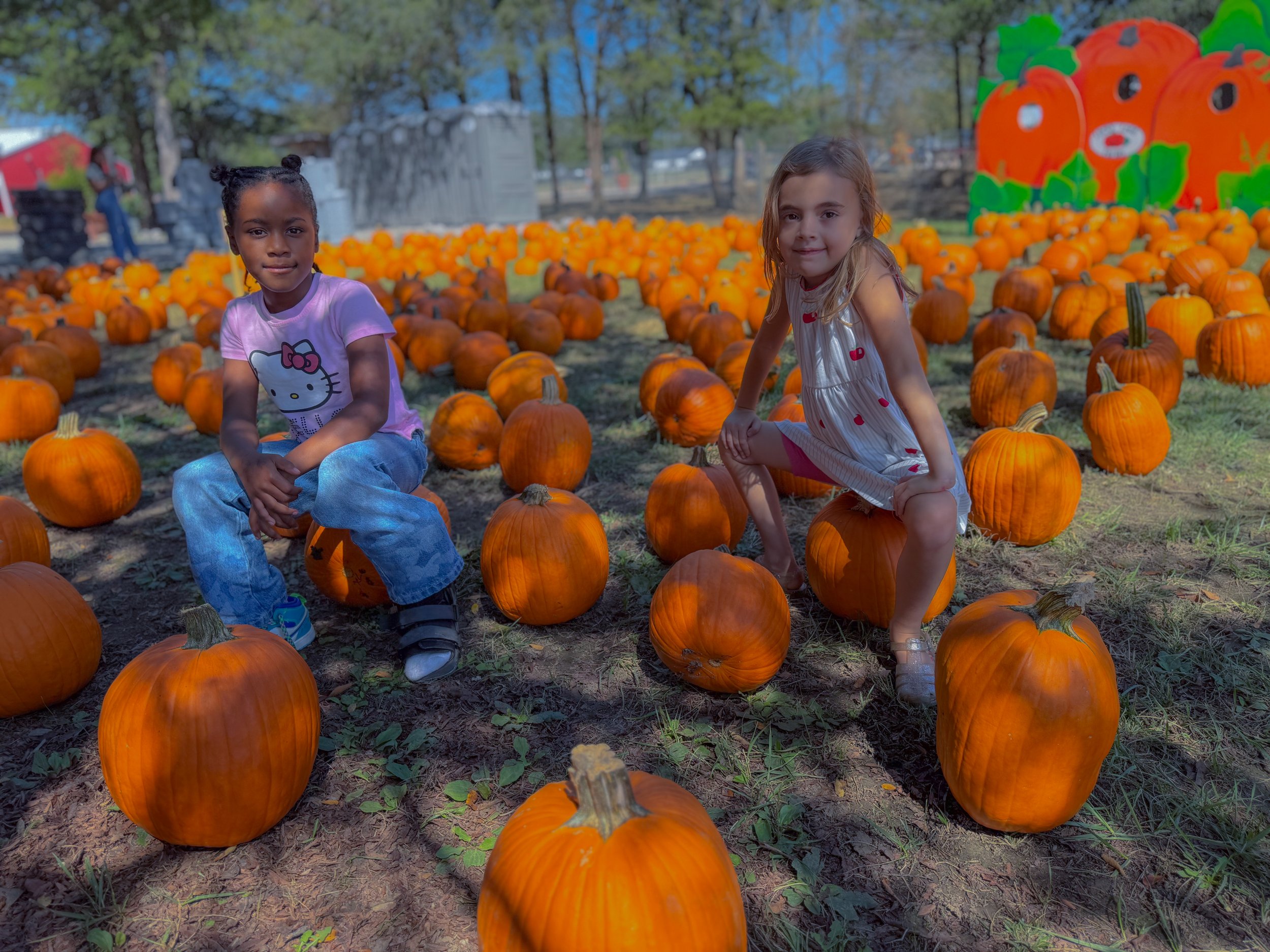 IMG_7287 3shy des pumpkins.jpg