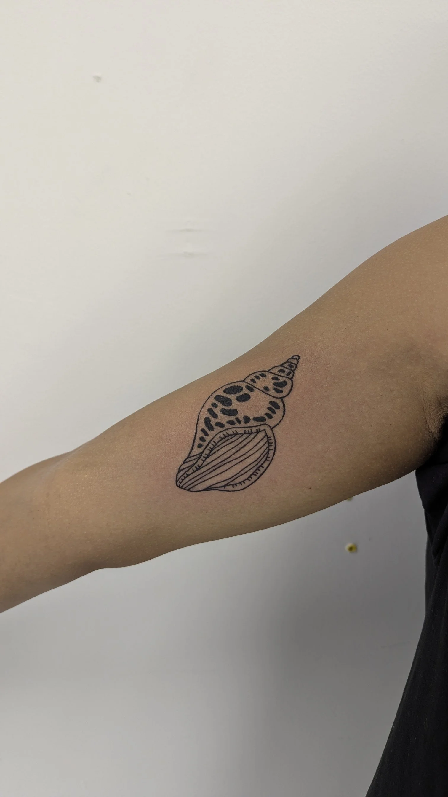 1000047380.jpg