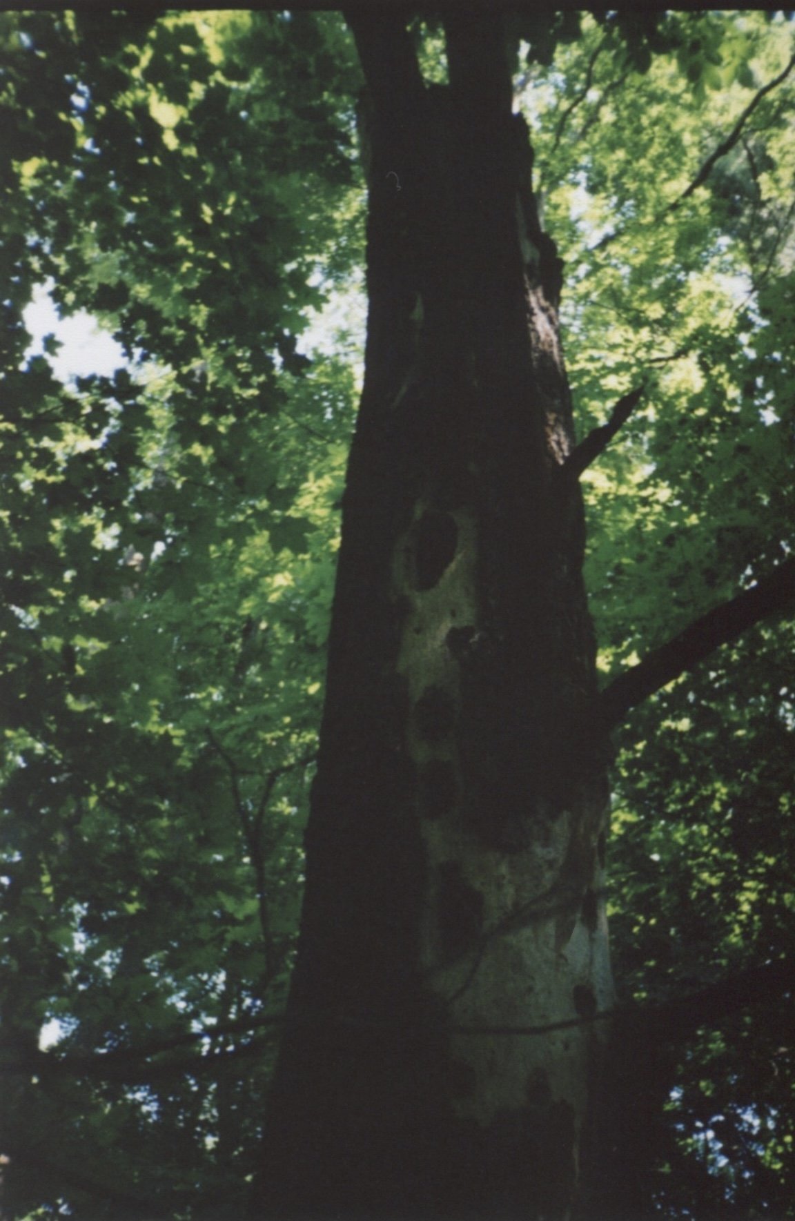 4151E266-920F-4D2E-BEF4-FF9AD3B0FD15.jpeg