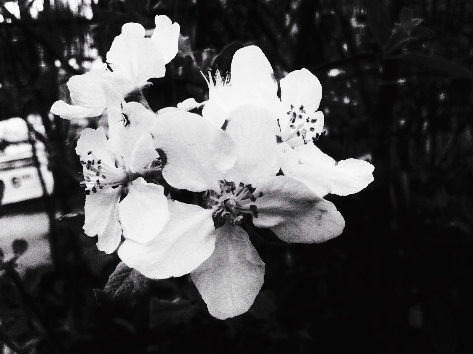765801D7-0EF7-4BC7-AB79-95EAA879329F.jpeg