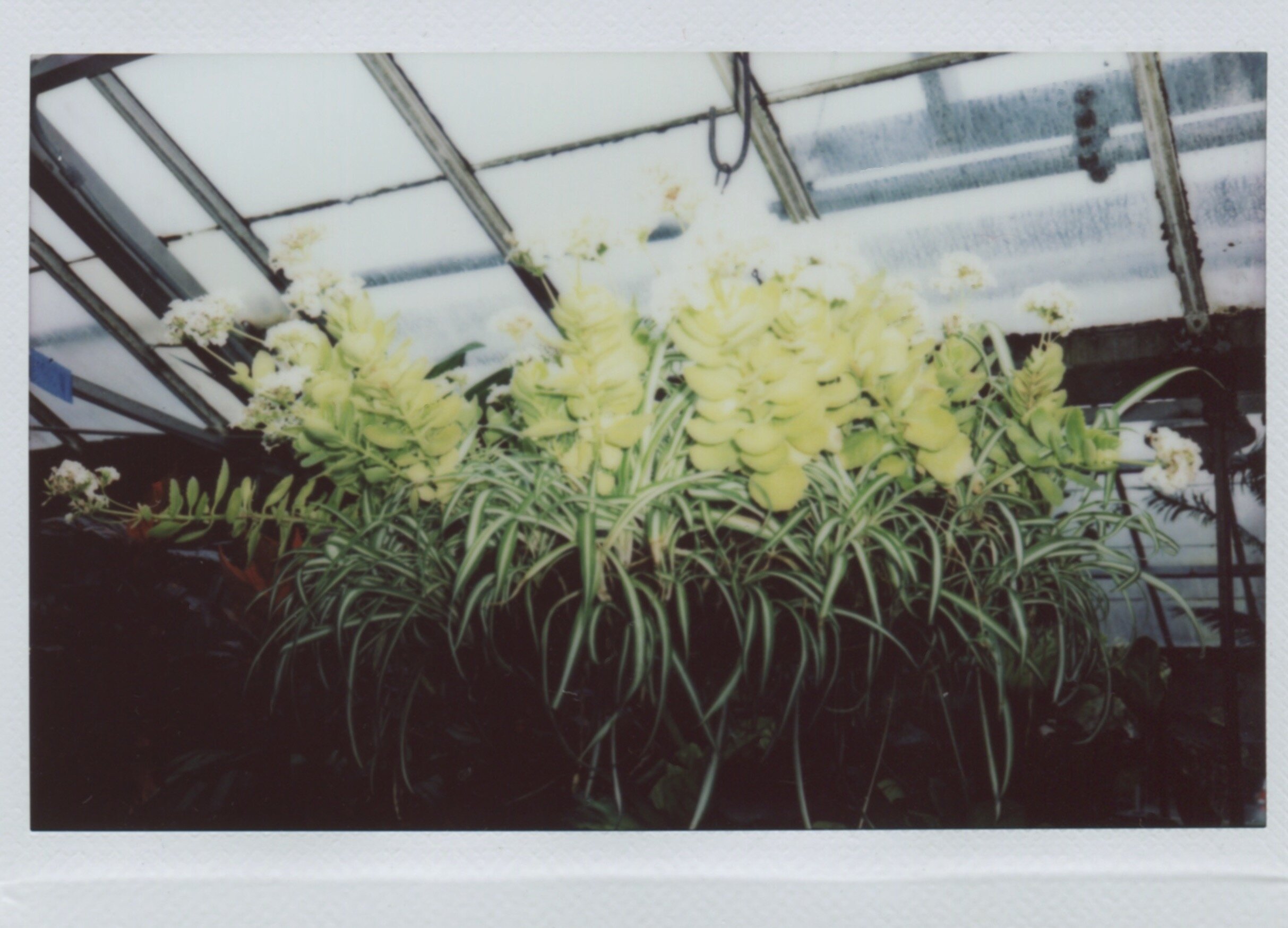 A921AEC7-A554-4638-A49D-C99E0D4375BA.jpeg