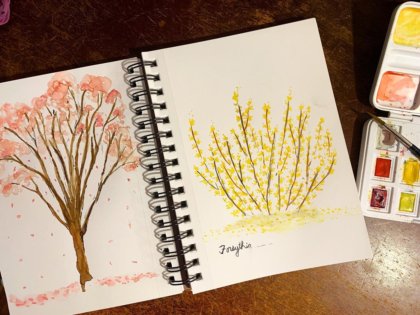 Watercolor blooms ✨💐 
#quicksketch #7minutesketch #watercolor #illustration #inksketch #vintagevibes #sketchbook #spring #springflowers #watercolorsketch #vintagestyle