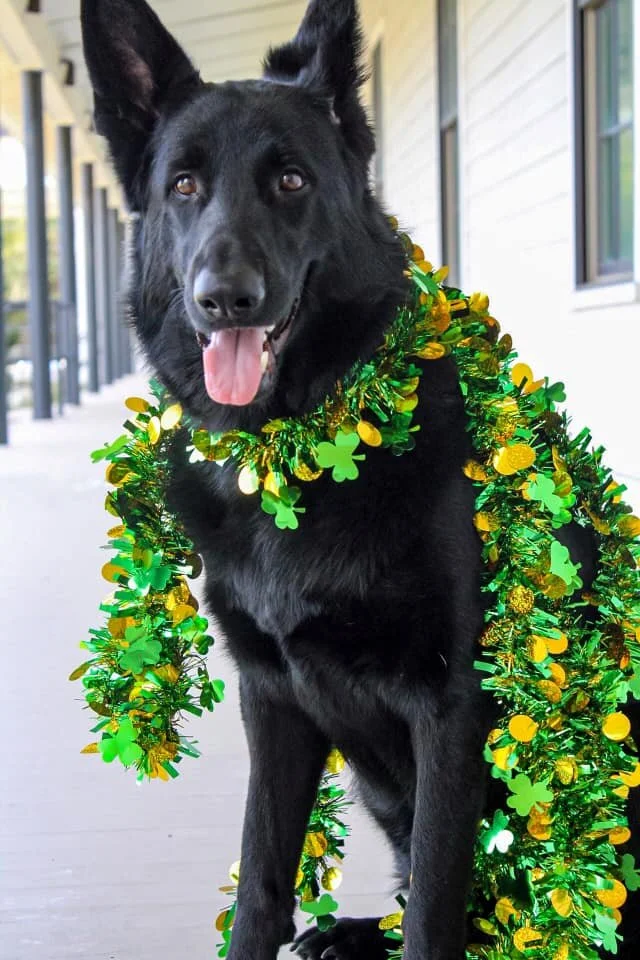 Decorate3.jpg