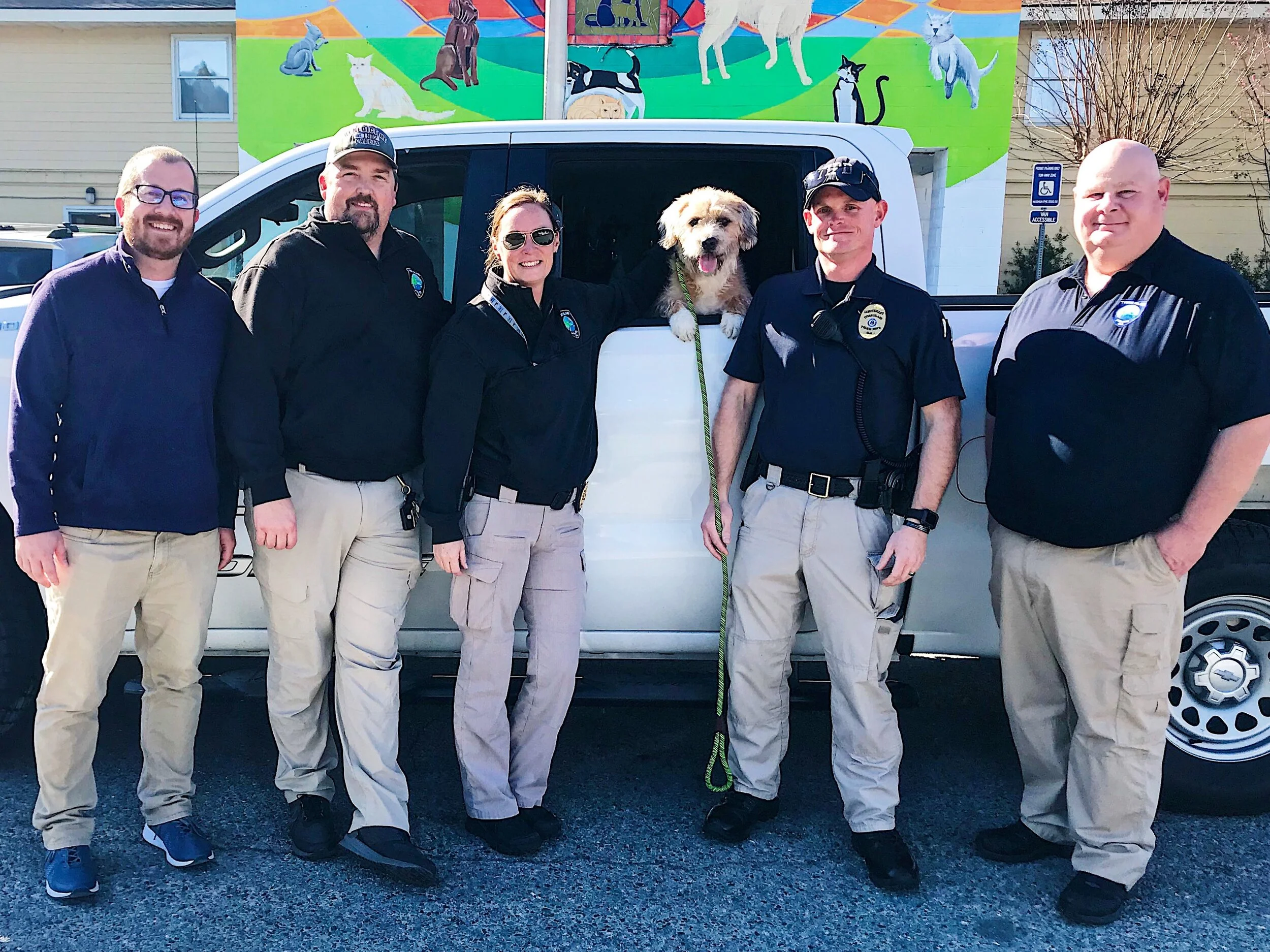 k9foraday.jpg