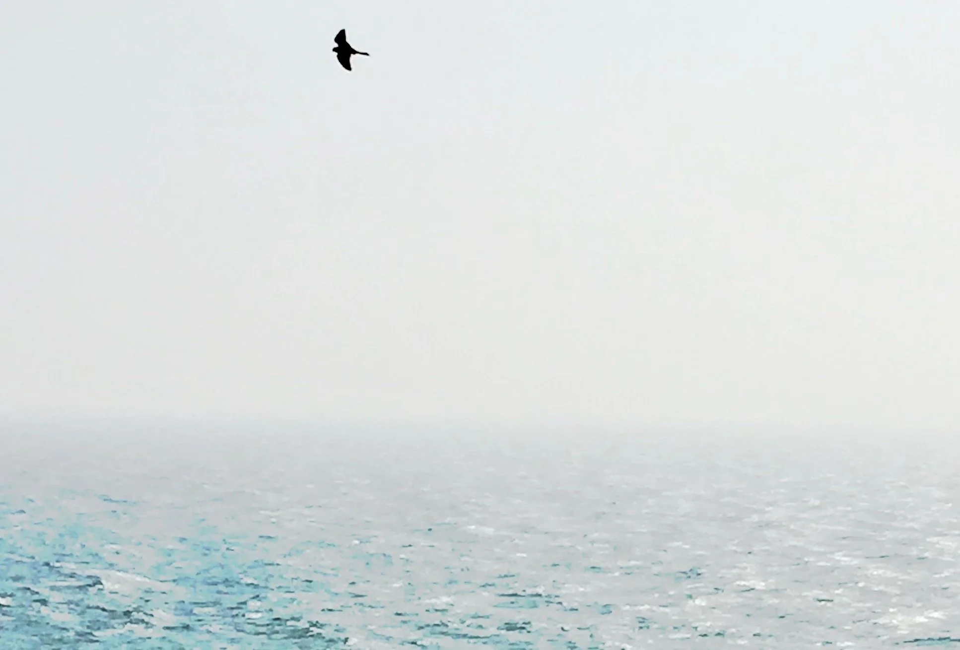 In The Doldrums — whole minds