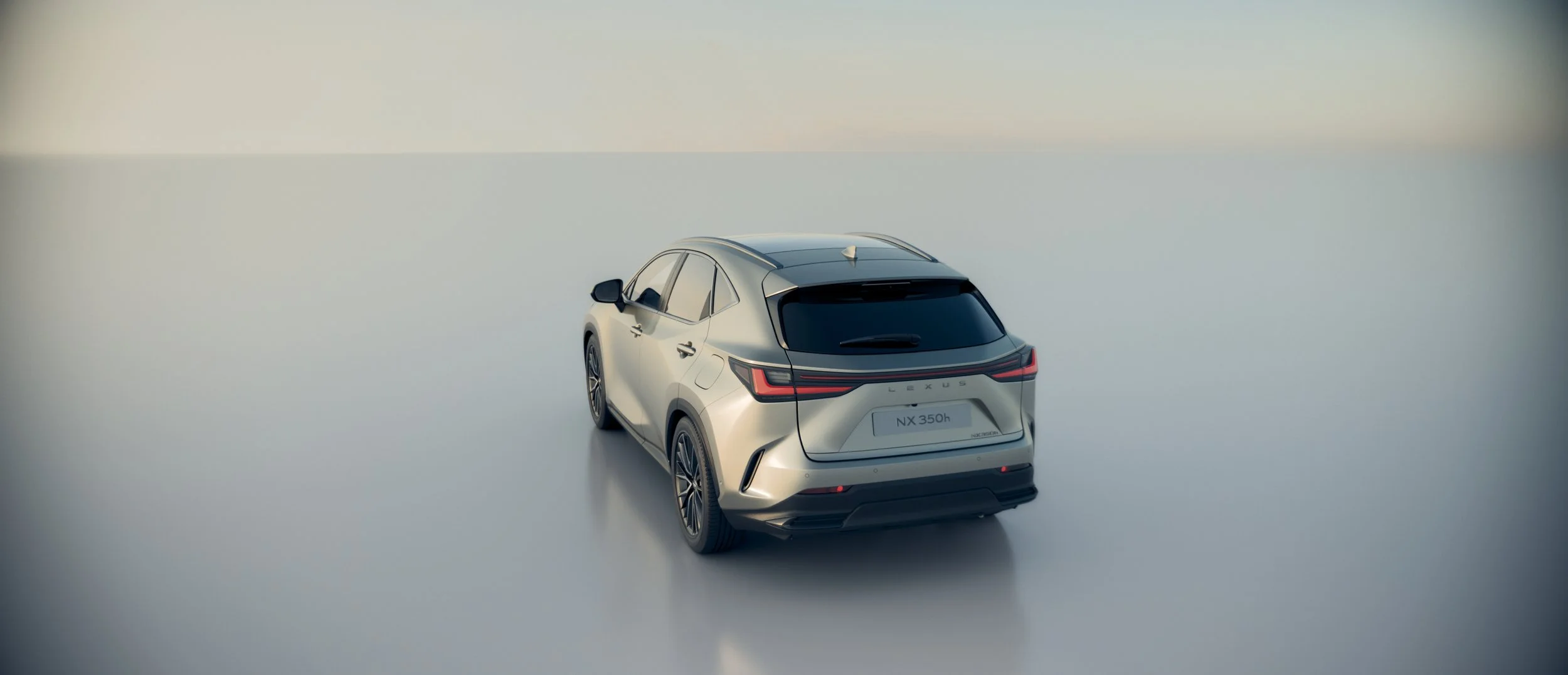 03_26_Lexus_NX_v006.jpg