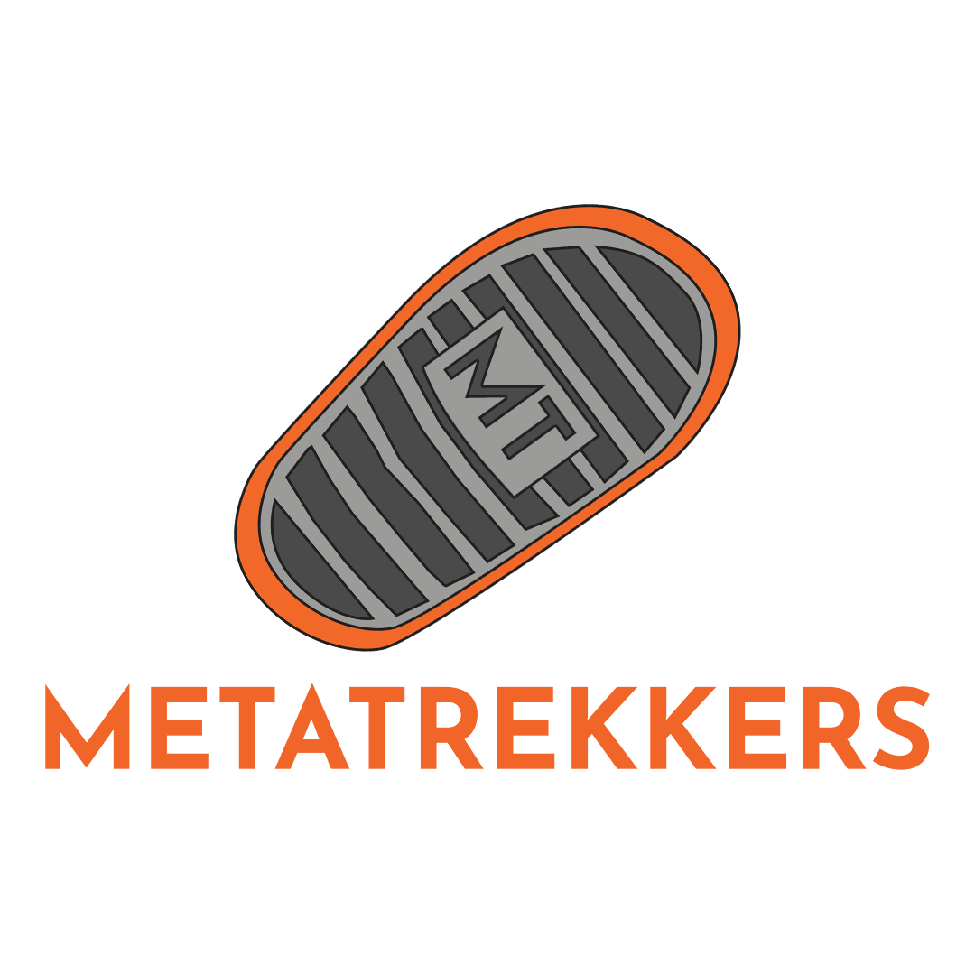 MetaTrekkers NFT Collection | Dive into The Metaverse