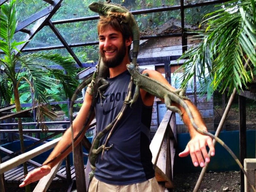 SAN IGNACIO, BELIZE - Green Iguana Sanctuary